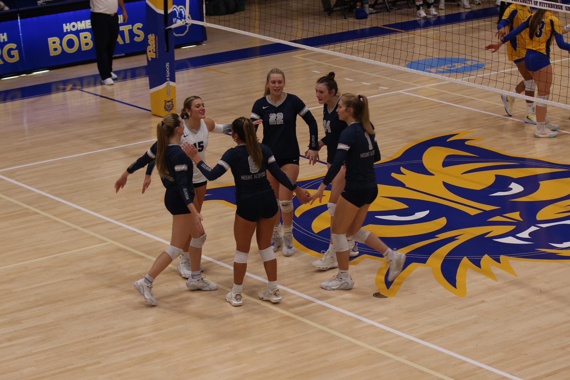 WVB Team