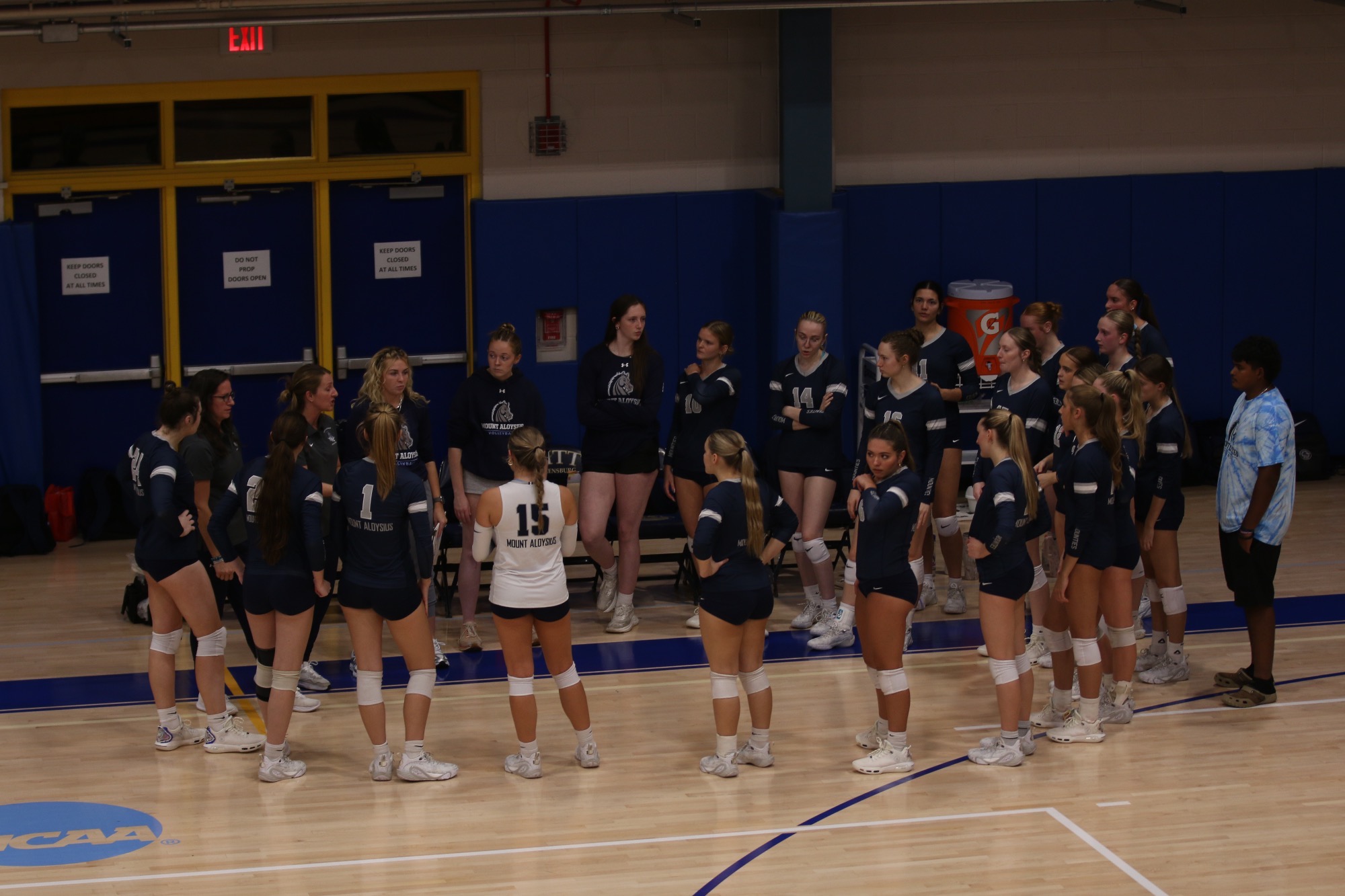 WVB Team