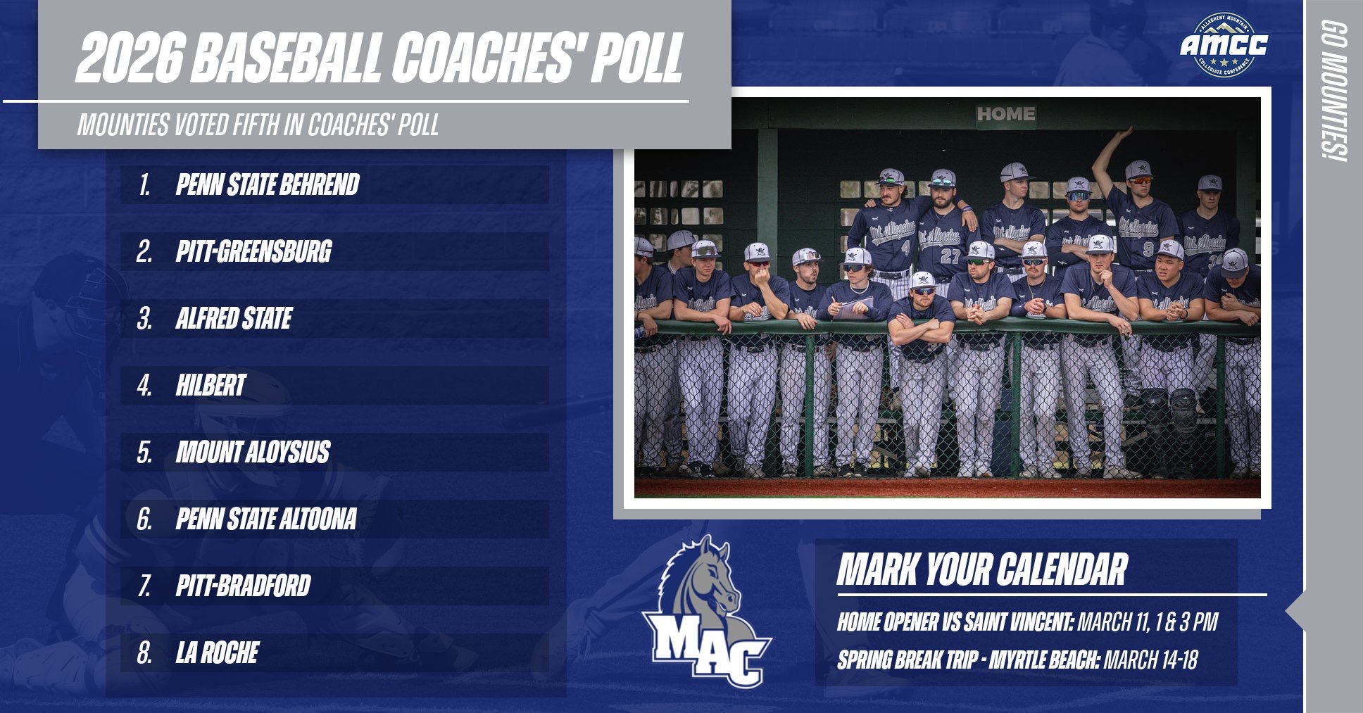 Baseball Preseason Poll