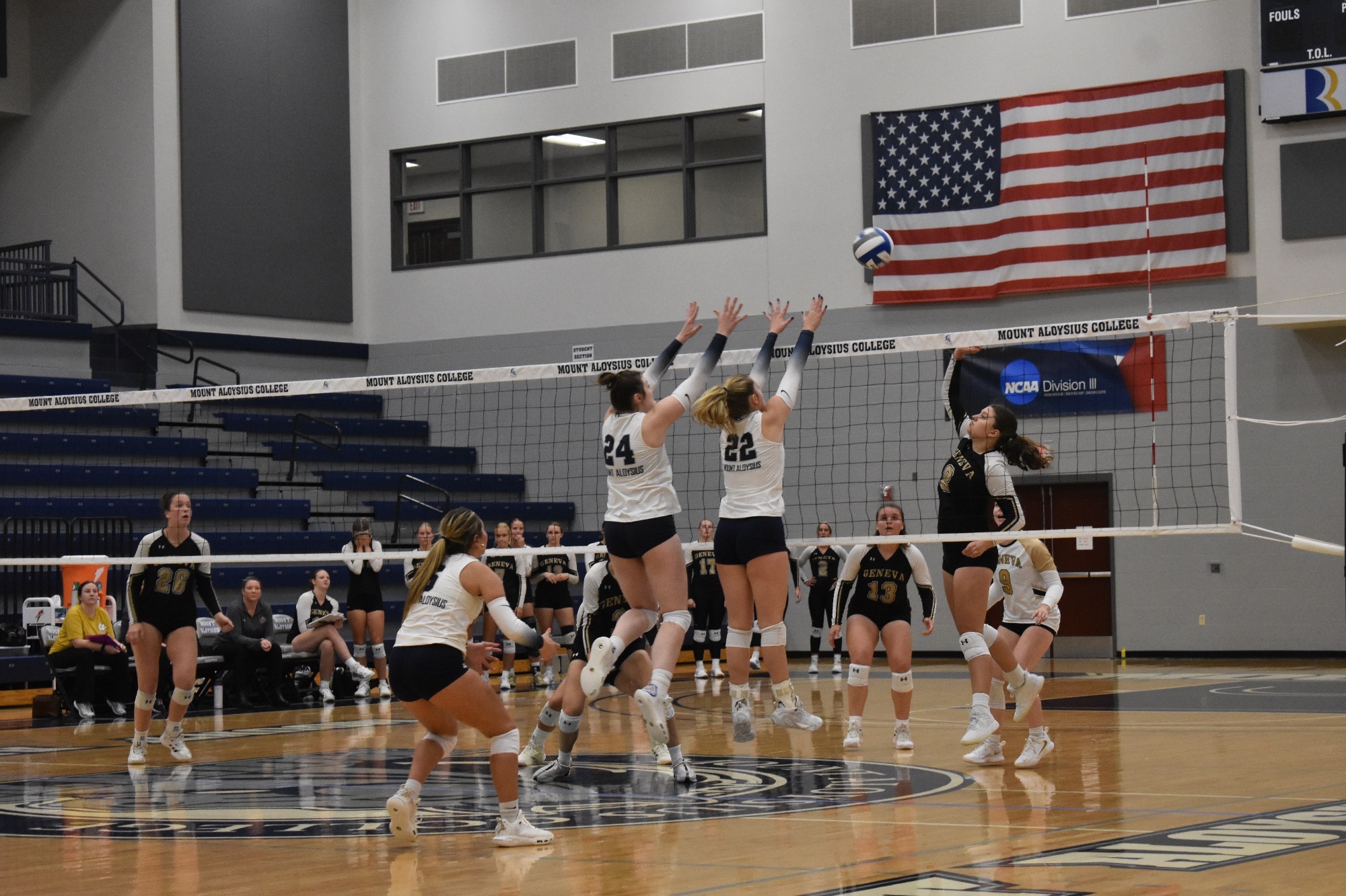 WVB