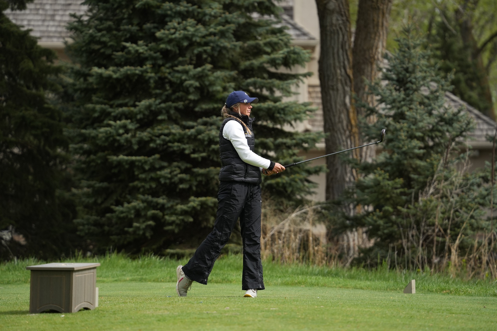 golf 