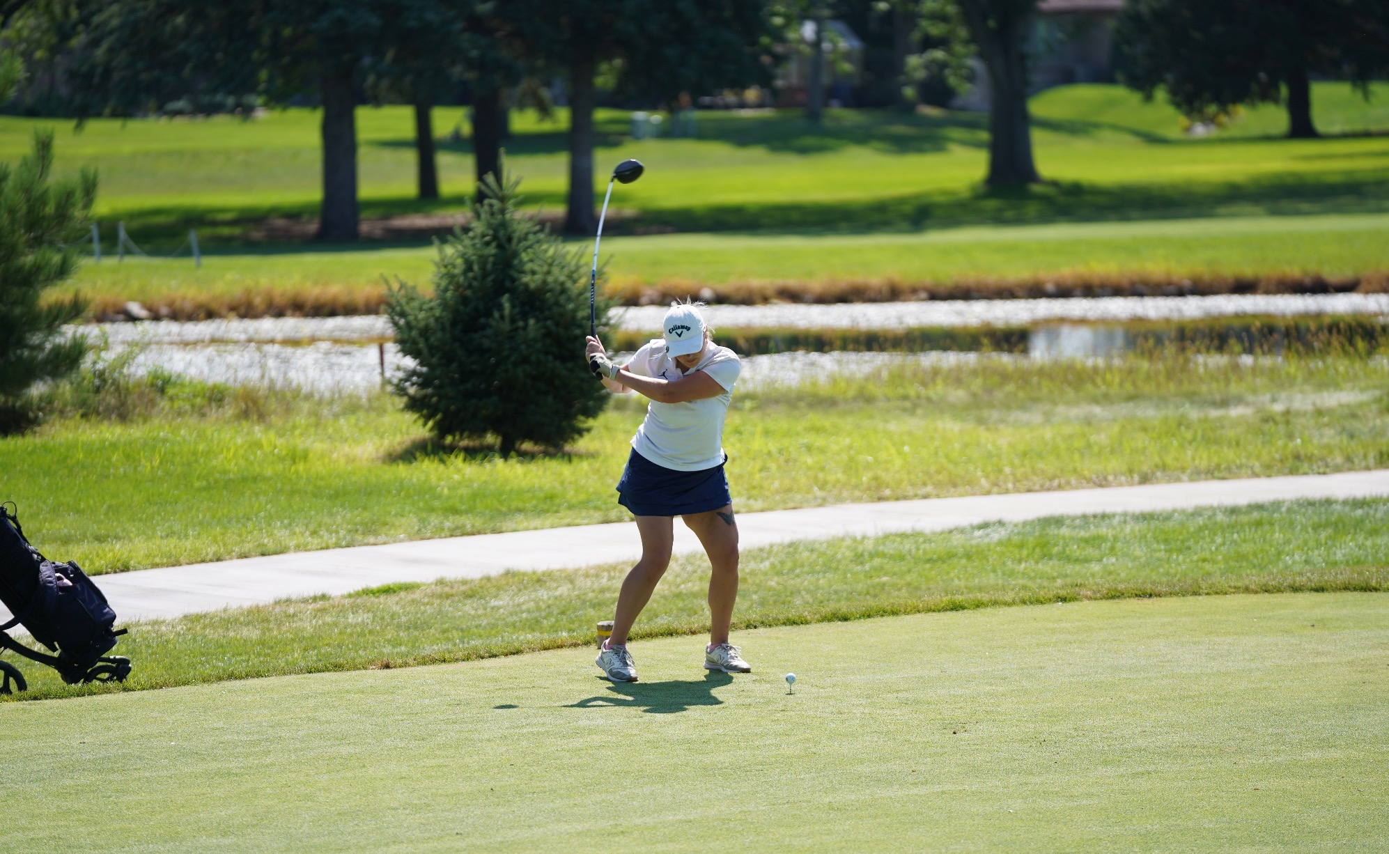 golf 