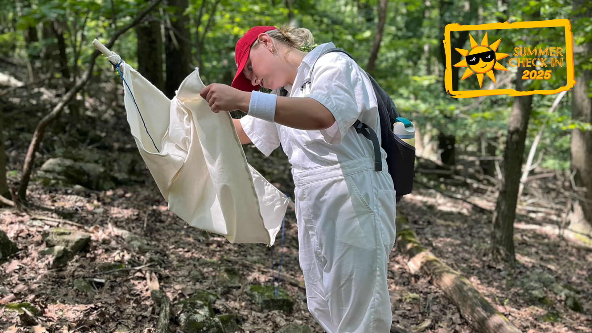 A young woman in the forest dressed in white protective clothing and a red cap examines a piece of cloth for ticks