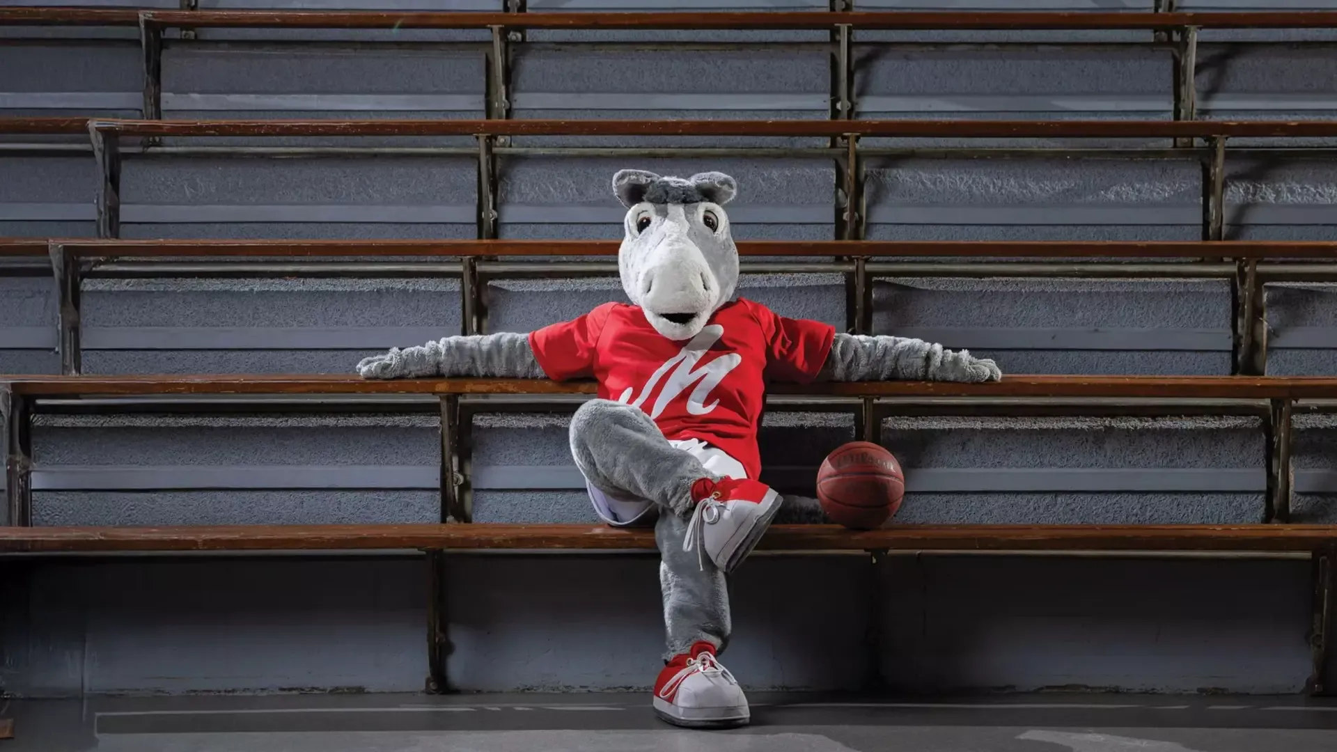 A mule mascot in a red shirt sits relaxed on gym bleachers with a basketball beside them, posing for a promotional photo.