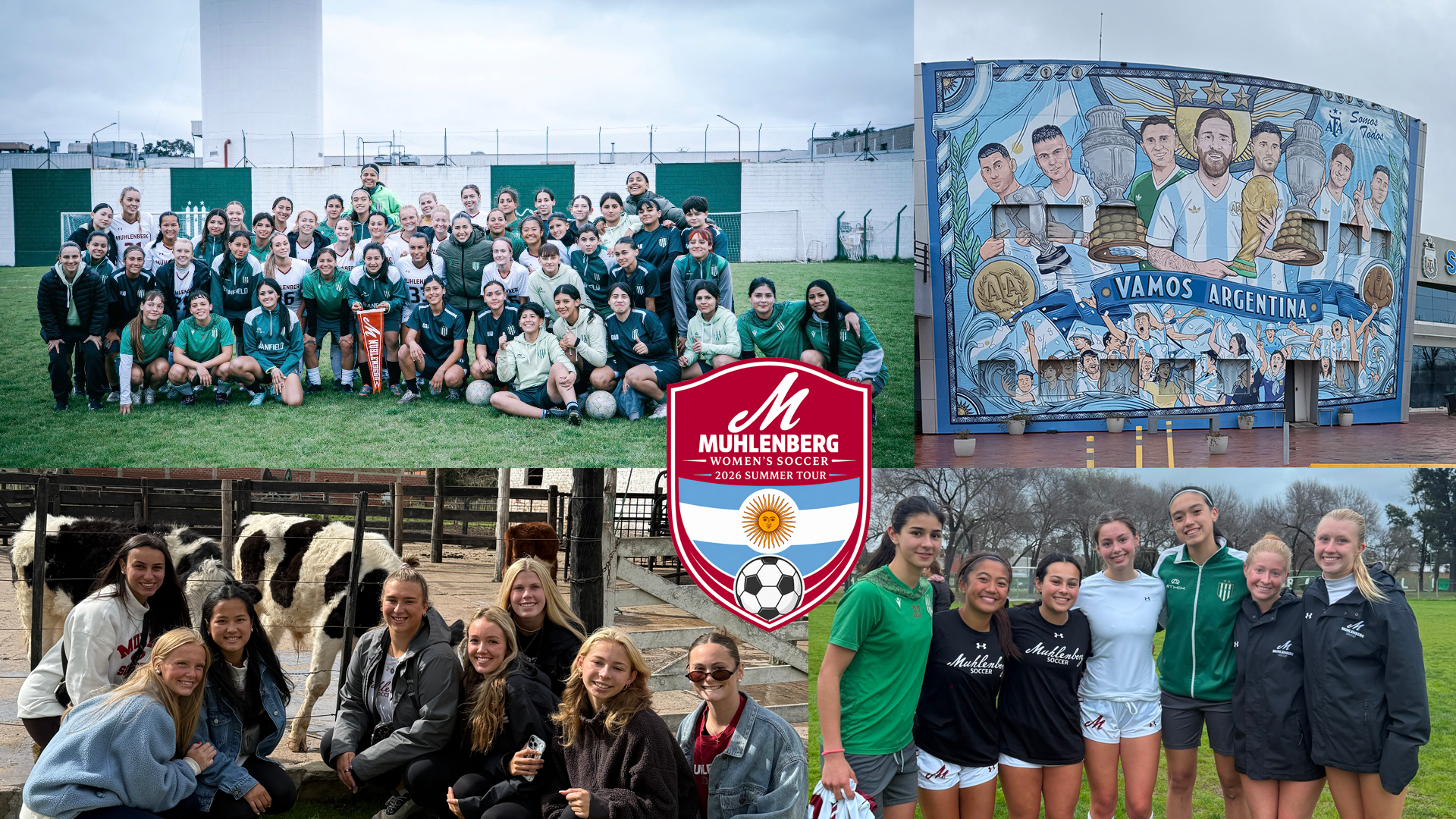 clockwise from top left: soccer teams wearing white and green uniforms posing together for a group photo on the pitch; a mural of soccer players on the side of a building with the text Vamos Argentina; seven soccer players representing two teams posing for a photo; a group of women in front of a pen containing cows
