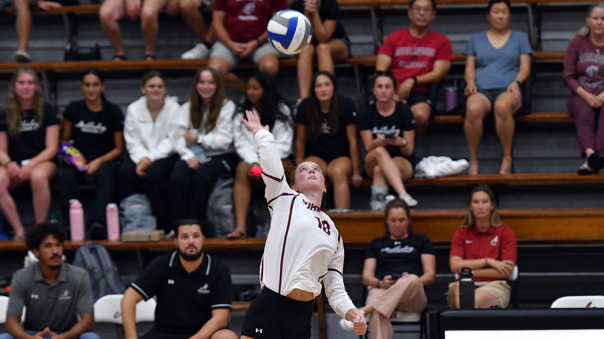 a volleyball player in a white jersey and black shorts cocking her arm to hit the ball