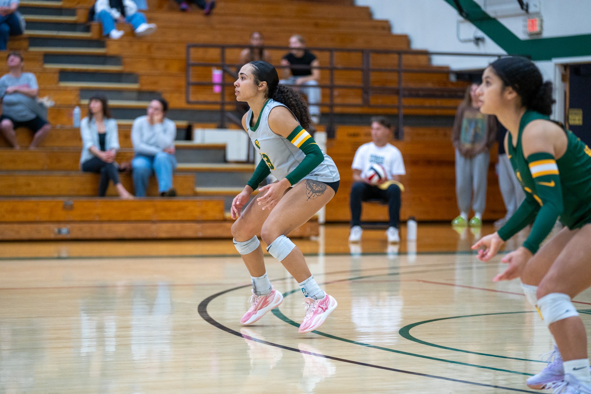 Volleyball Season 2024-2025