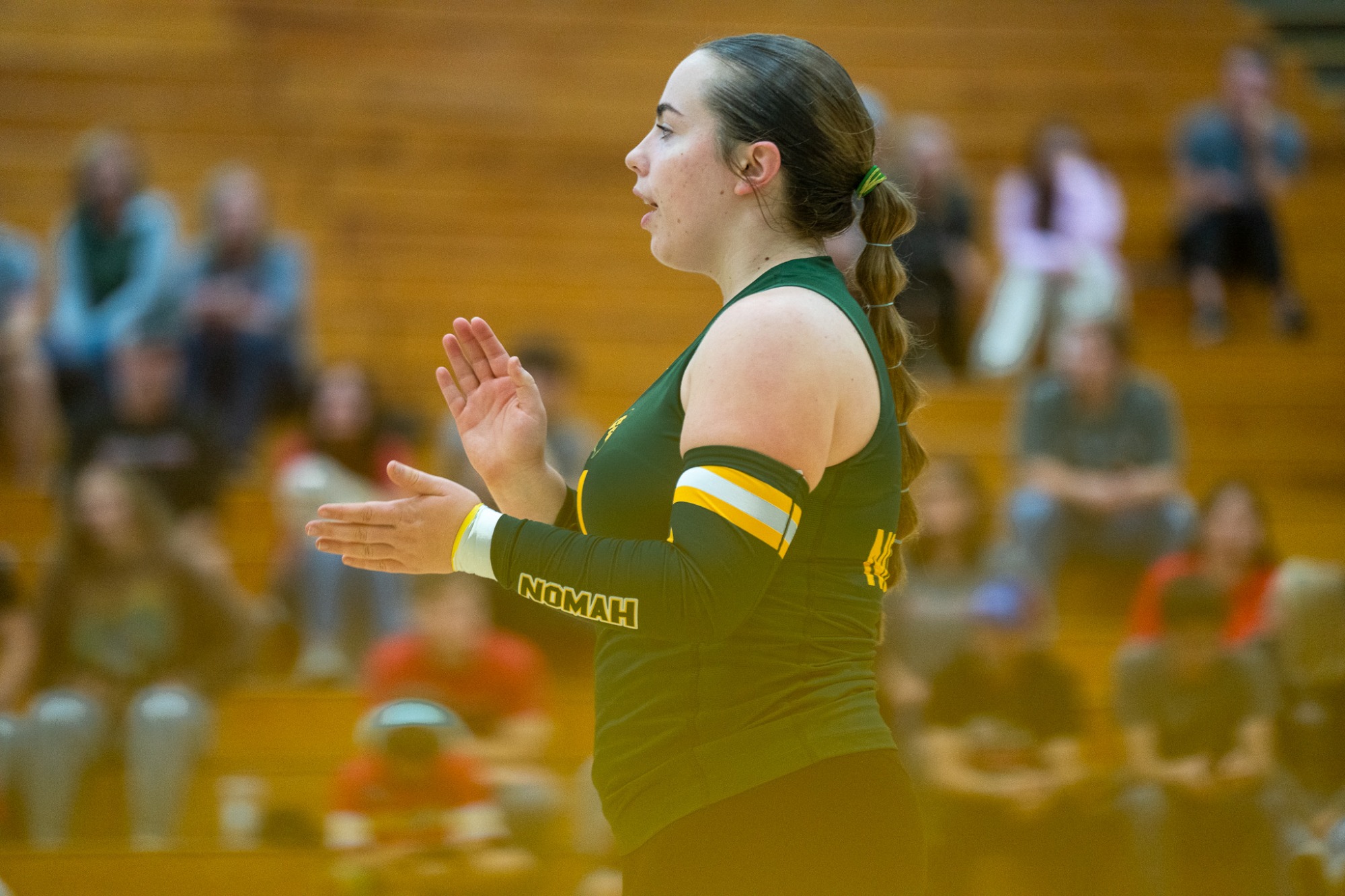 Volleyball Season 2024-2025