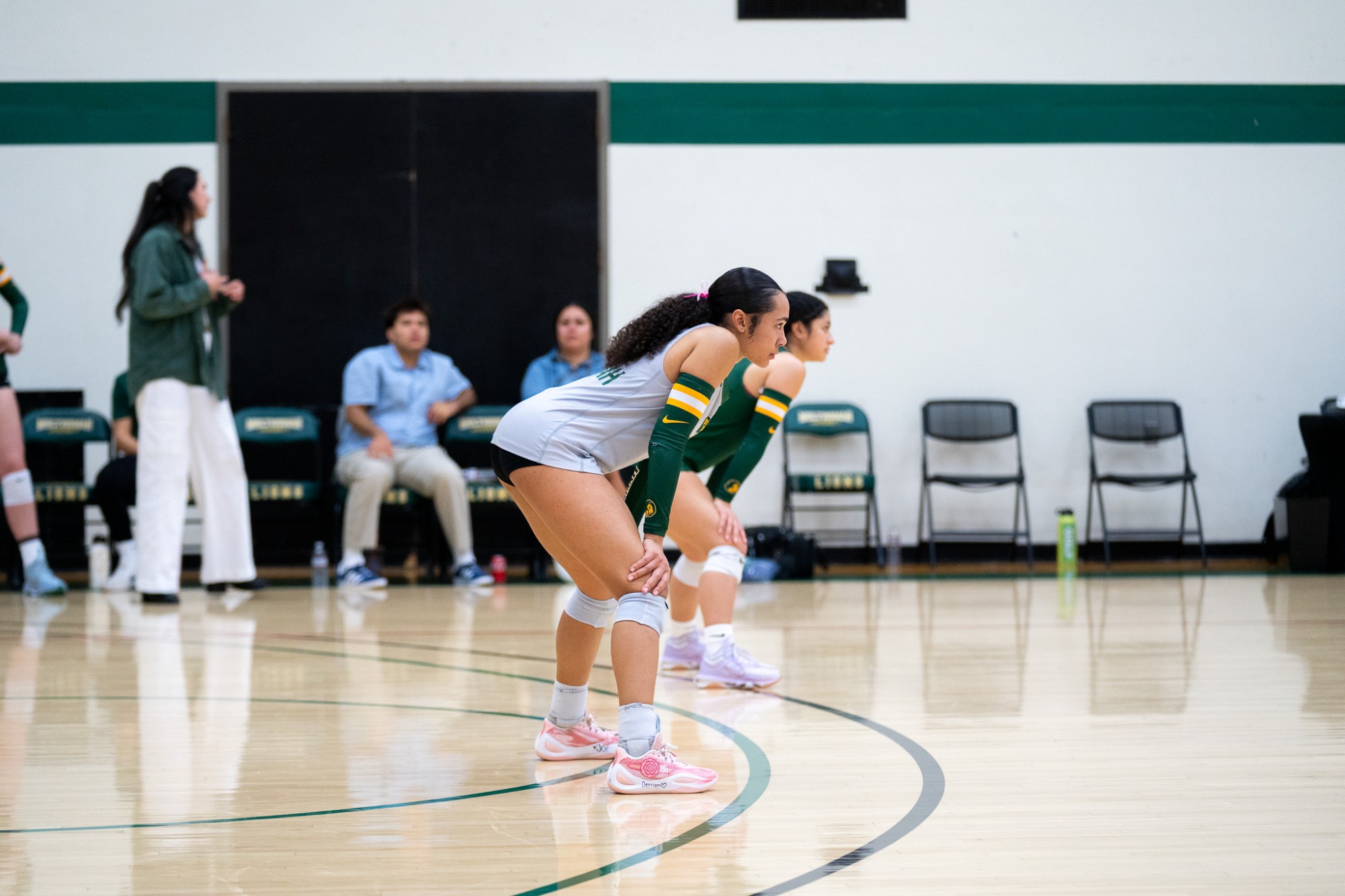 Volleyball Season 2024-2025