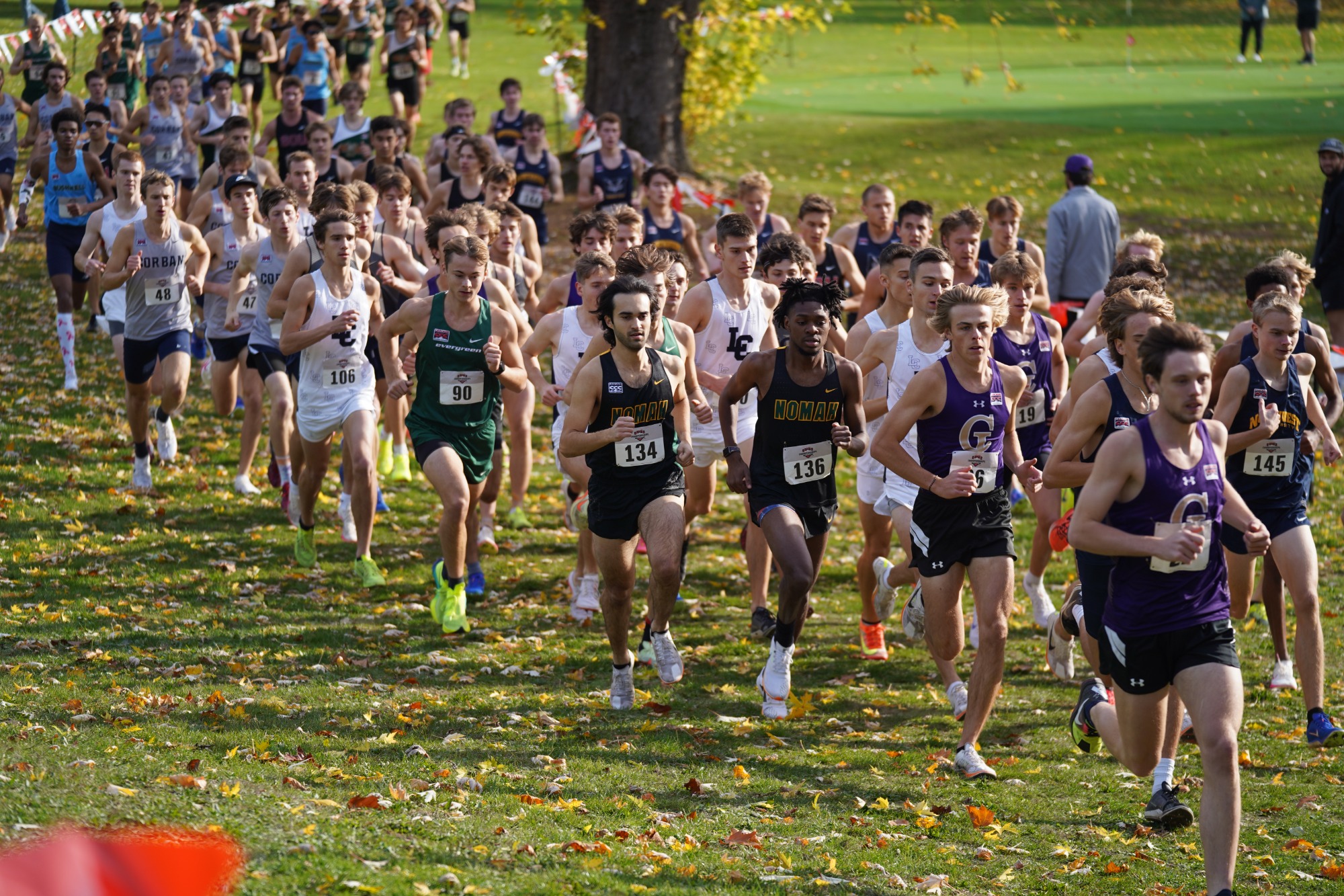 Men's Cross Country Season 2024-2025
