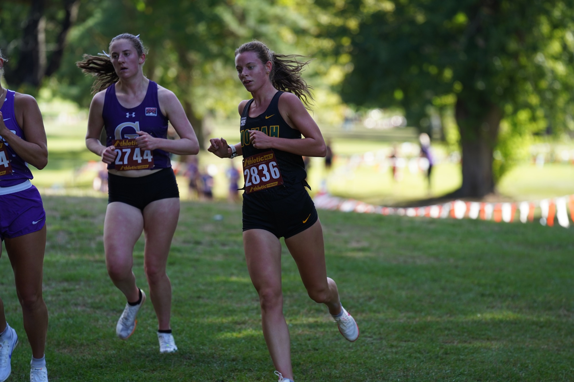 Women's Cross Country Season 2024-2025
