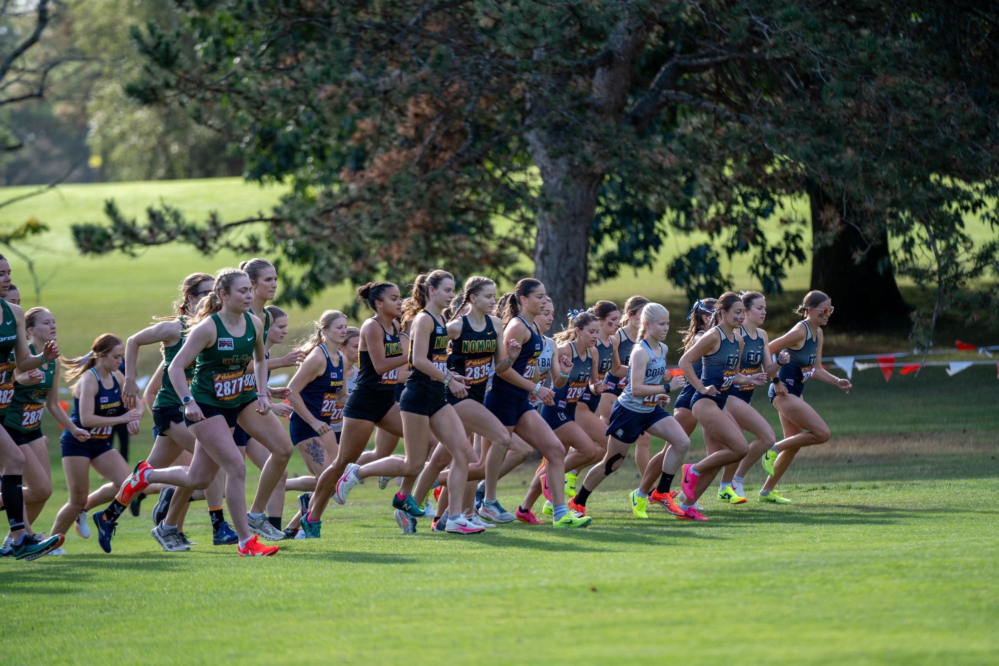 Women's Cross Country Season 2024-2025

