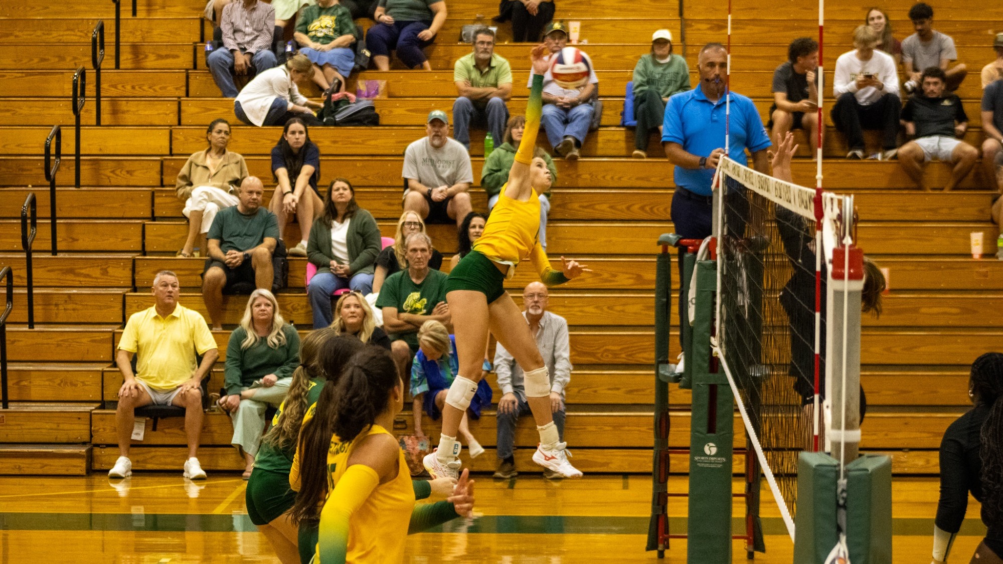Addison Johnson on an attack at home