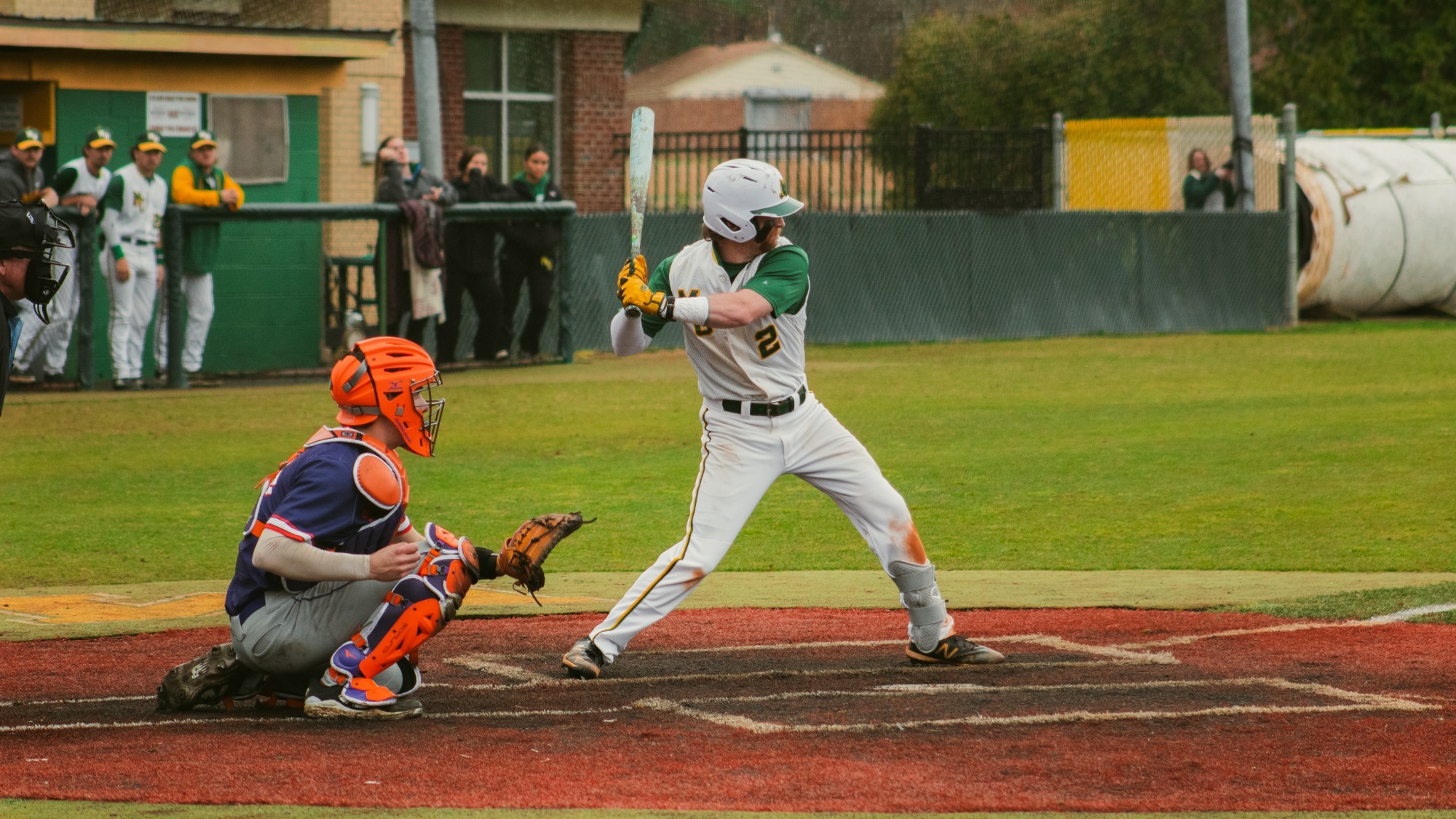 Blake Freeman batting stance
