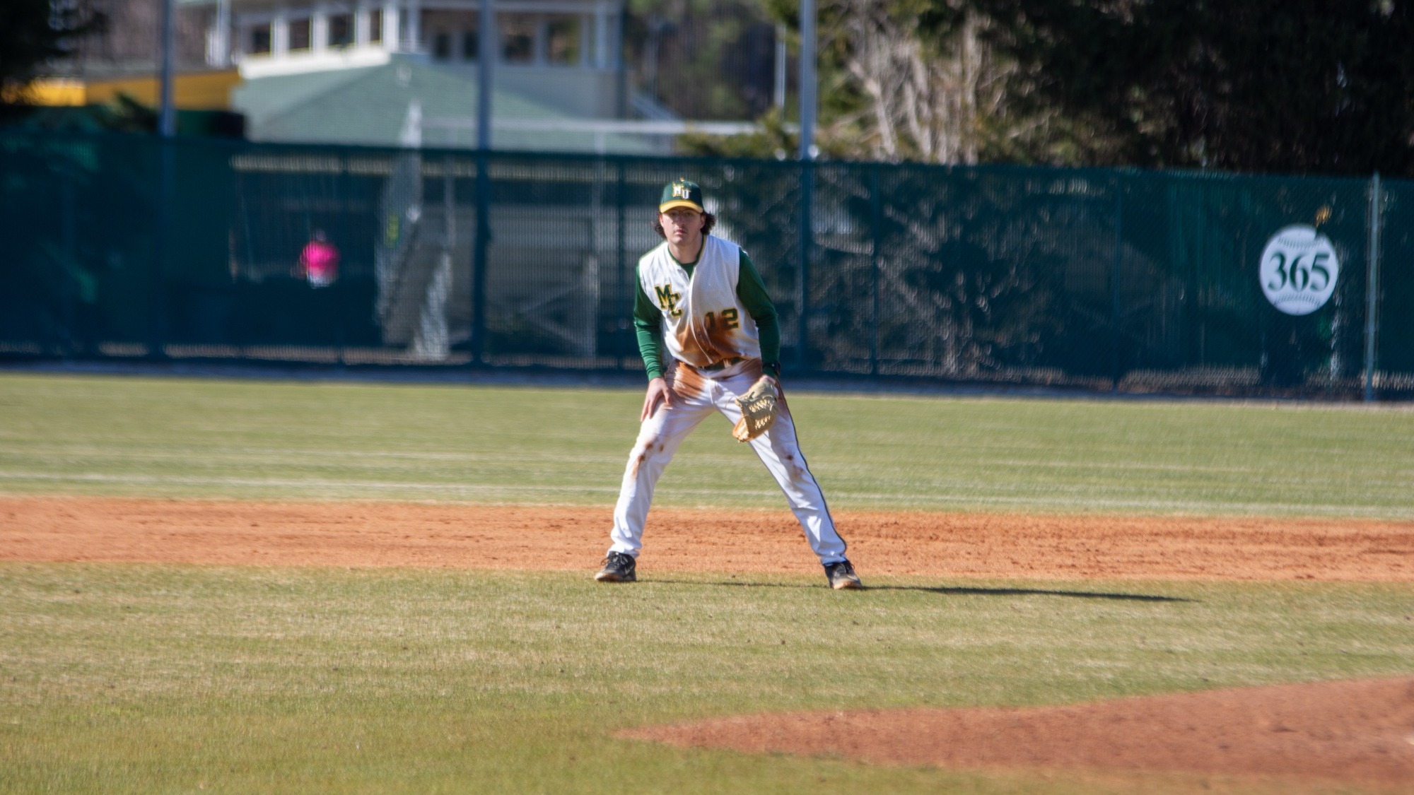 Brandon Mauger defensive stance at shortstop
