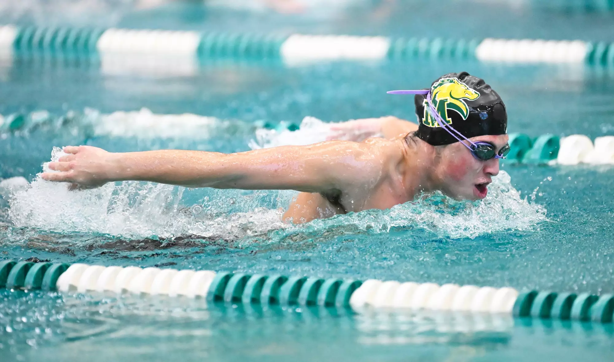 SWIM 10/17