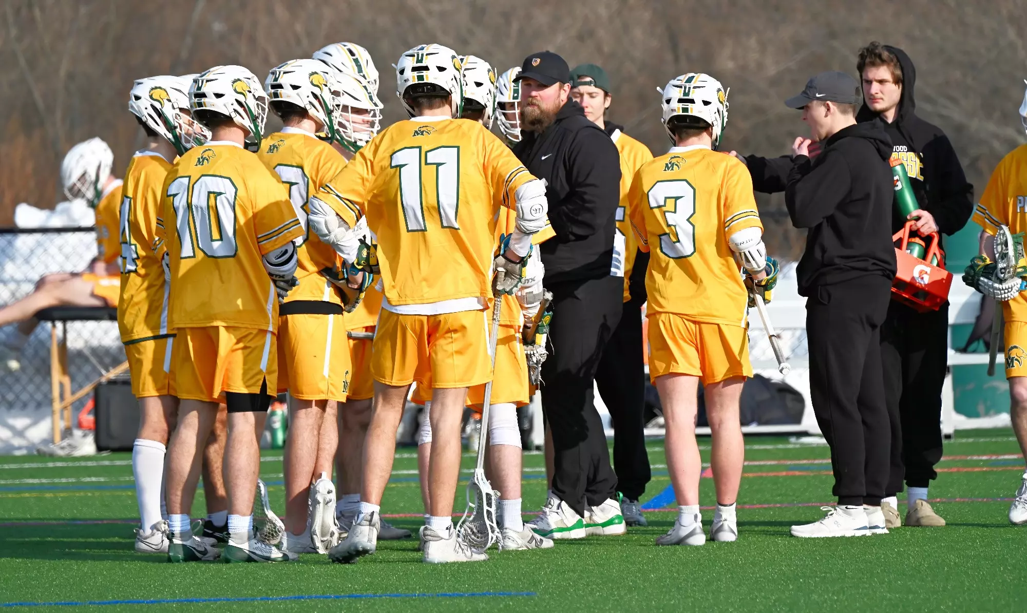 mlax
