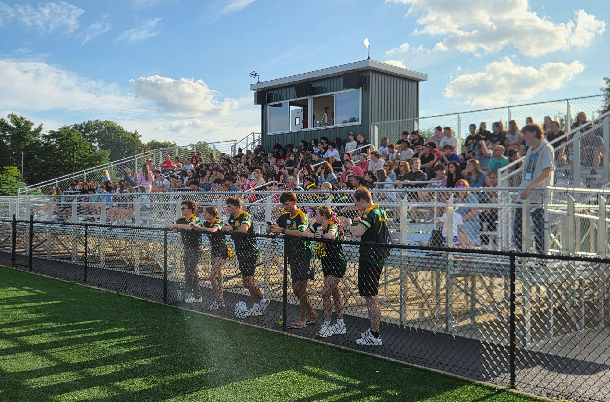 turf