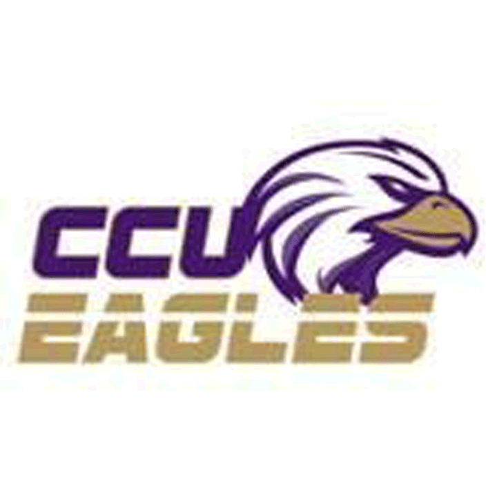 Opponent Logo