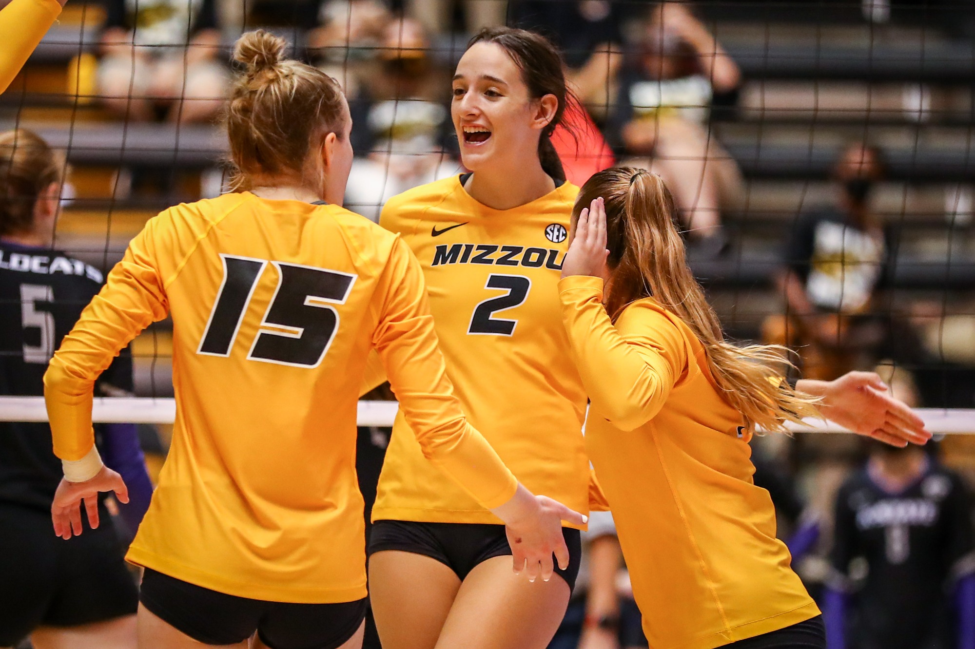 volleyball-rallies-back-on-opening-day-university-of-missouri-athletics