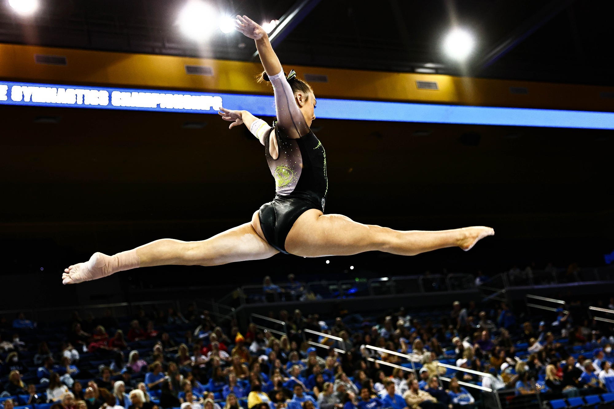 Sydney Schaffer Gymnastics University of Missouri Athletics