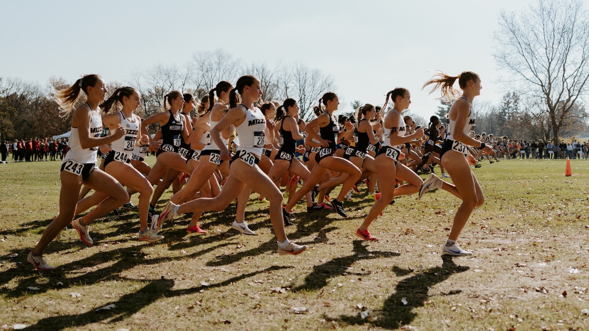 The Mizzou women's cross country team races during the 2024 NCAA Midwest Regional Championships at the Newman Golf Course in Peoria, Illinois on Nov. 15, 2024.
