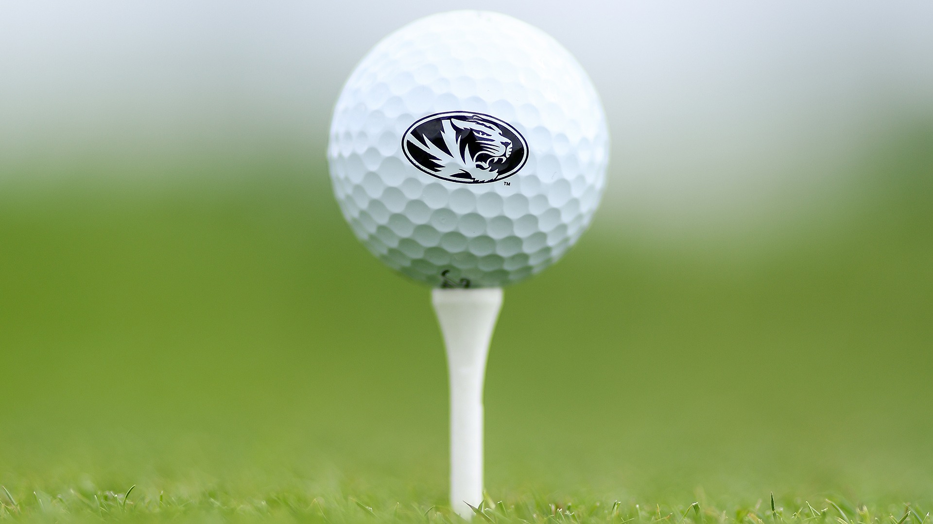 Golf Ball