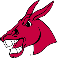 Opponent Logo