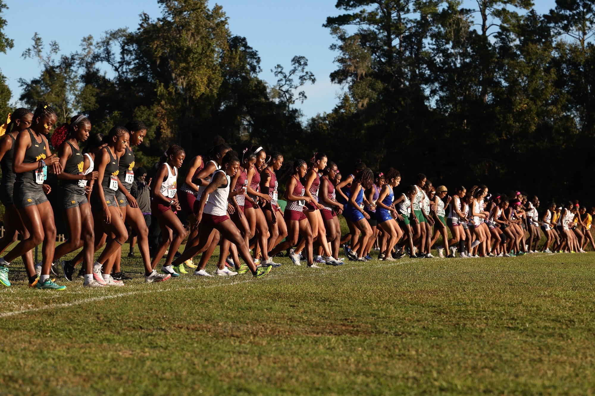 xc
