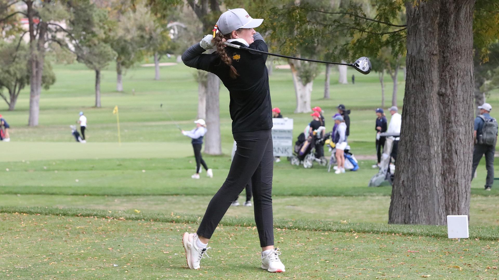 25_10_13_WGOLF_CSUP_Wert (2)