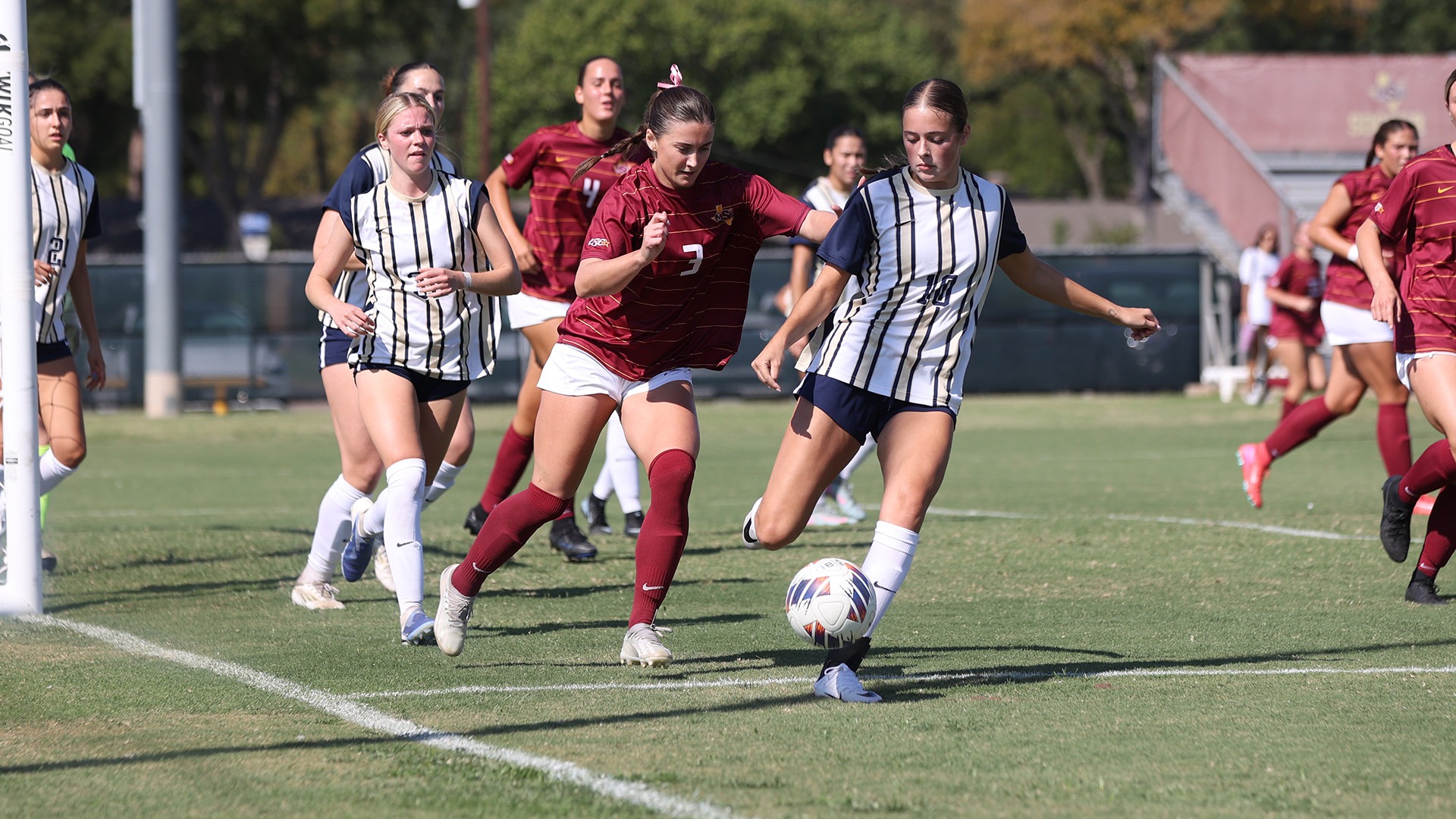 25_10_4_WS_SEU_Rose (1)