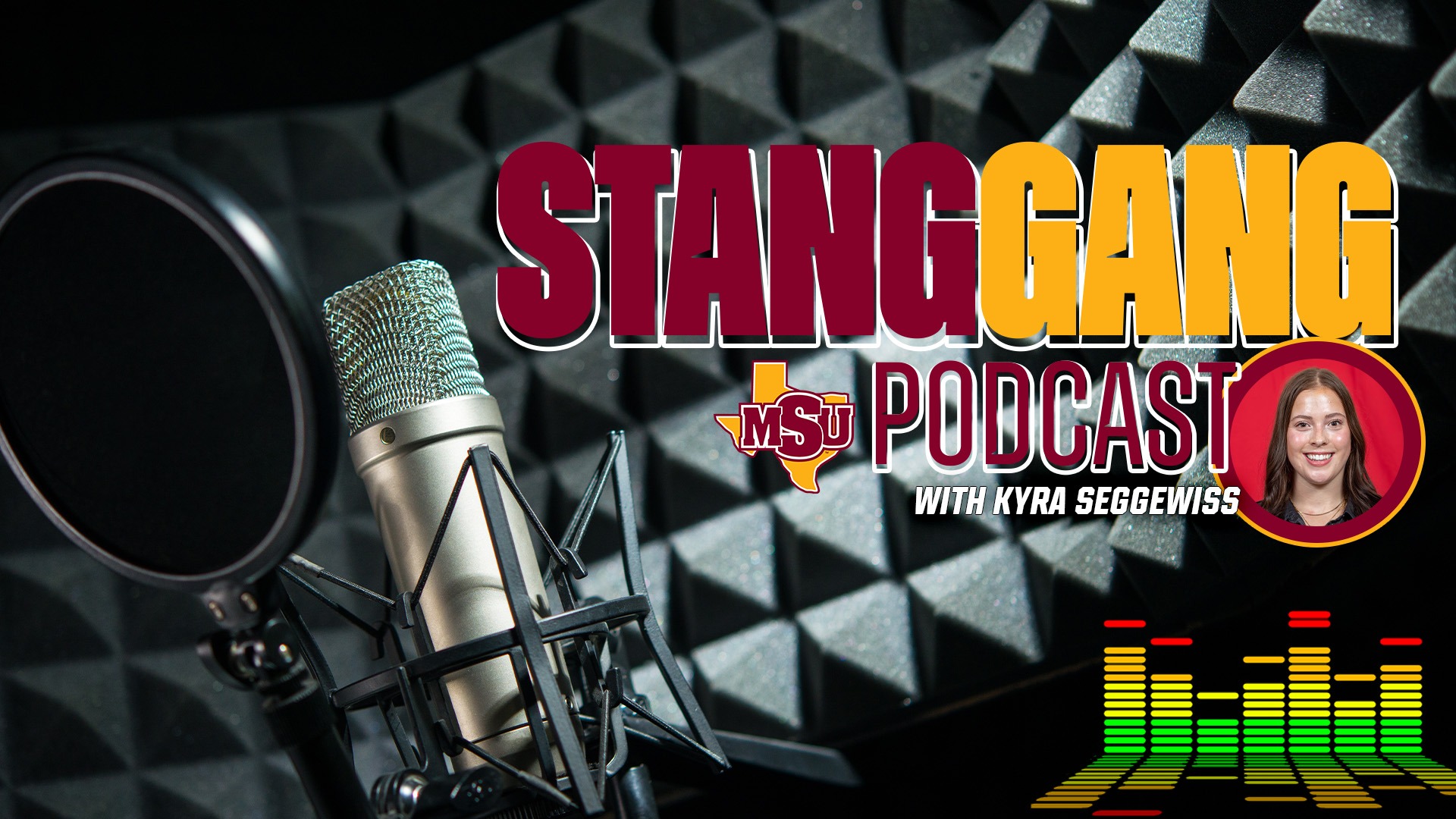 Stang-Gang-Podcast-Seggewiss