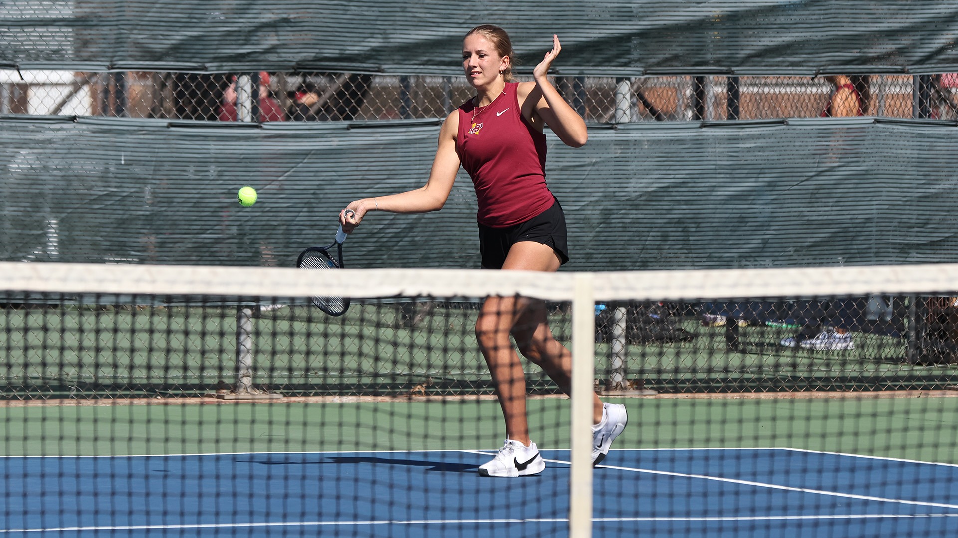 26_2_19_WTEN_CC_Sullivan (3)