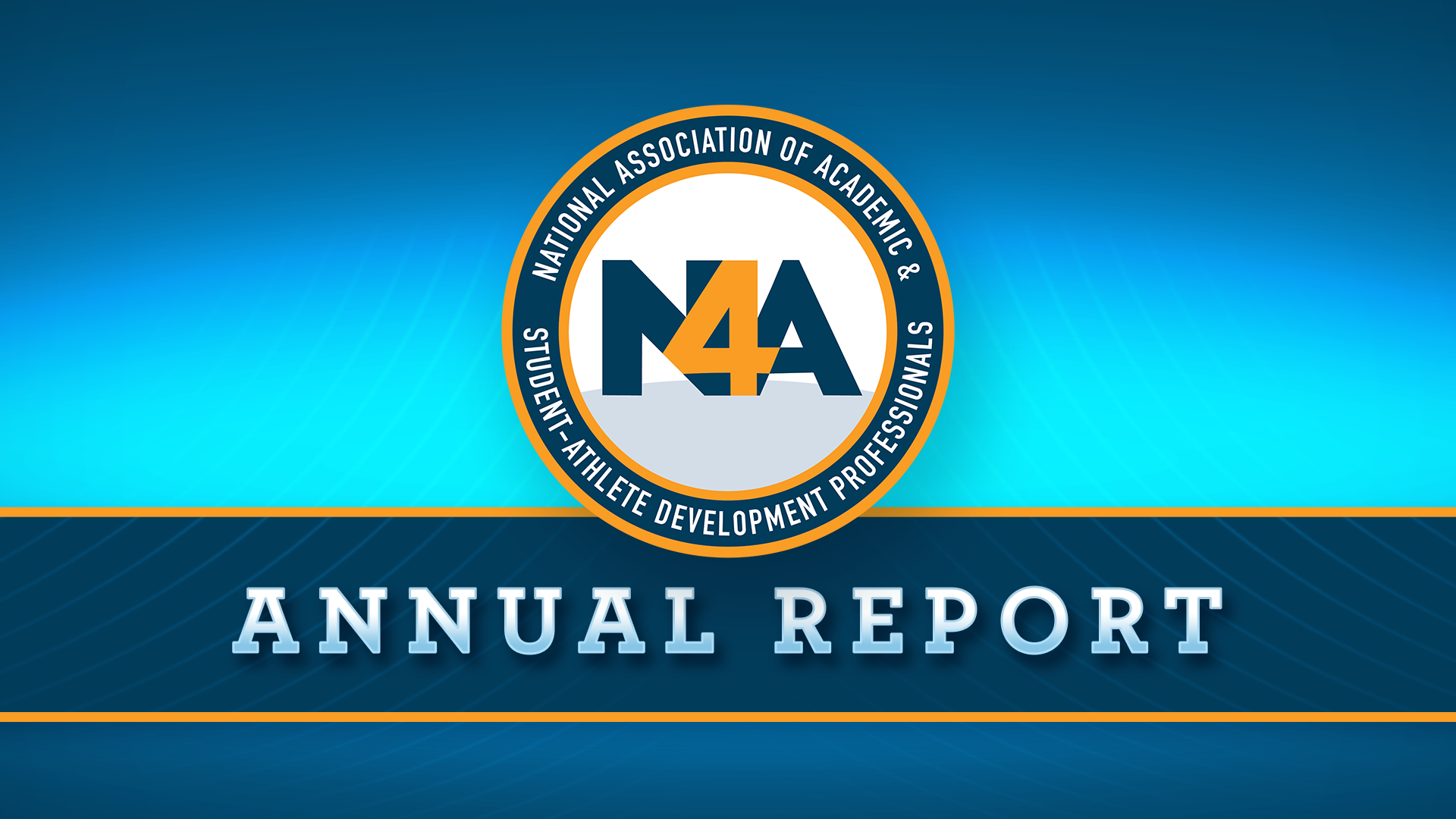 N4A Annual Report