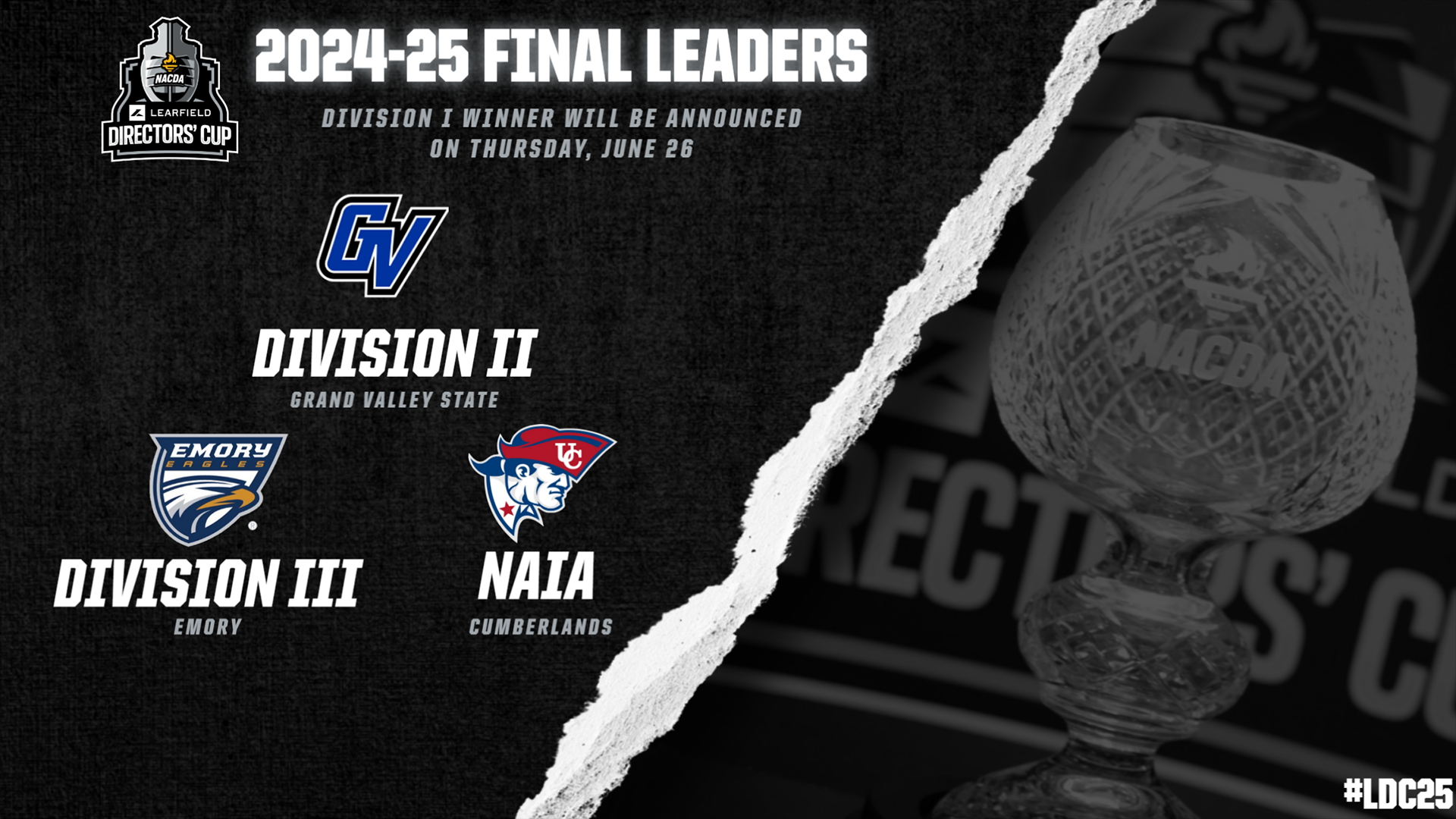 LDC_D2_3_NAIA_Final2025