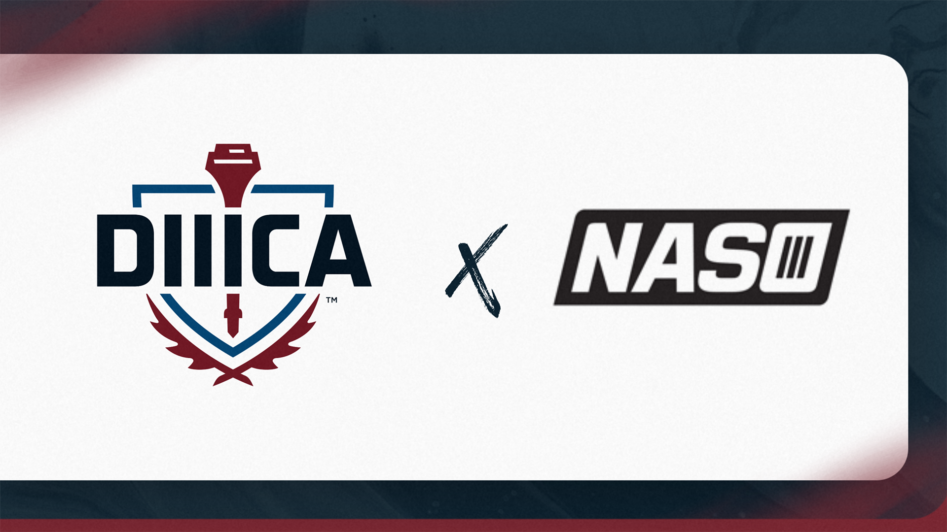 DIIICA_NASO Partnership