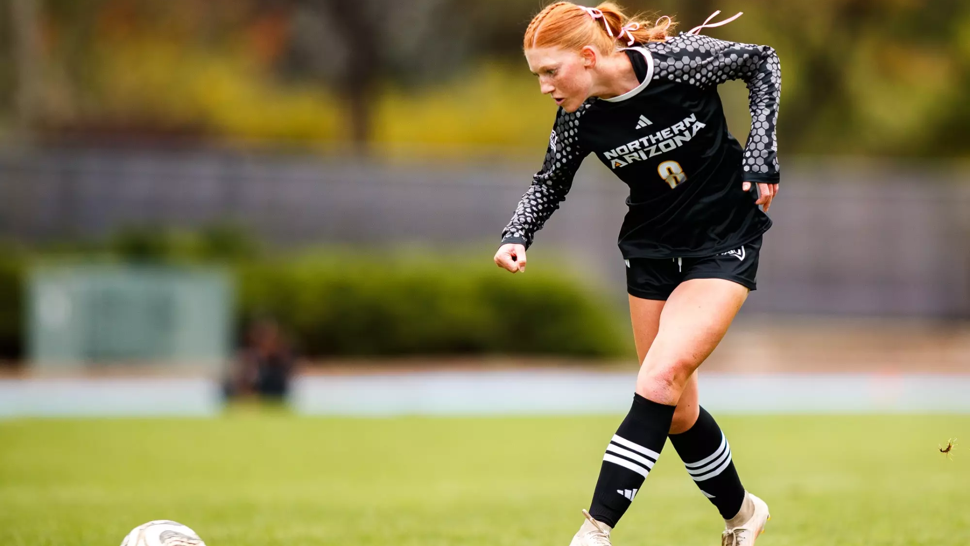 SOC vs. Idaho