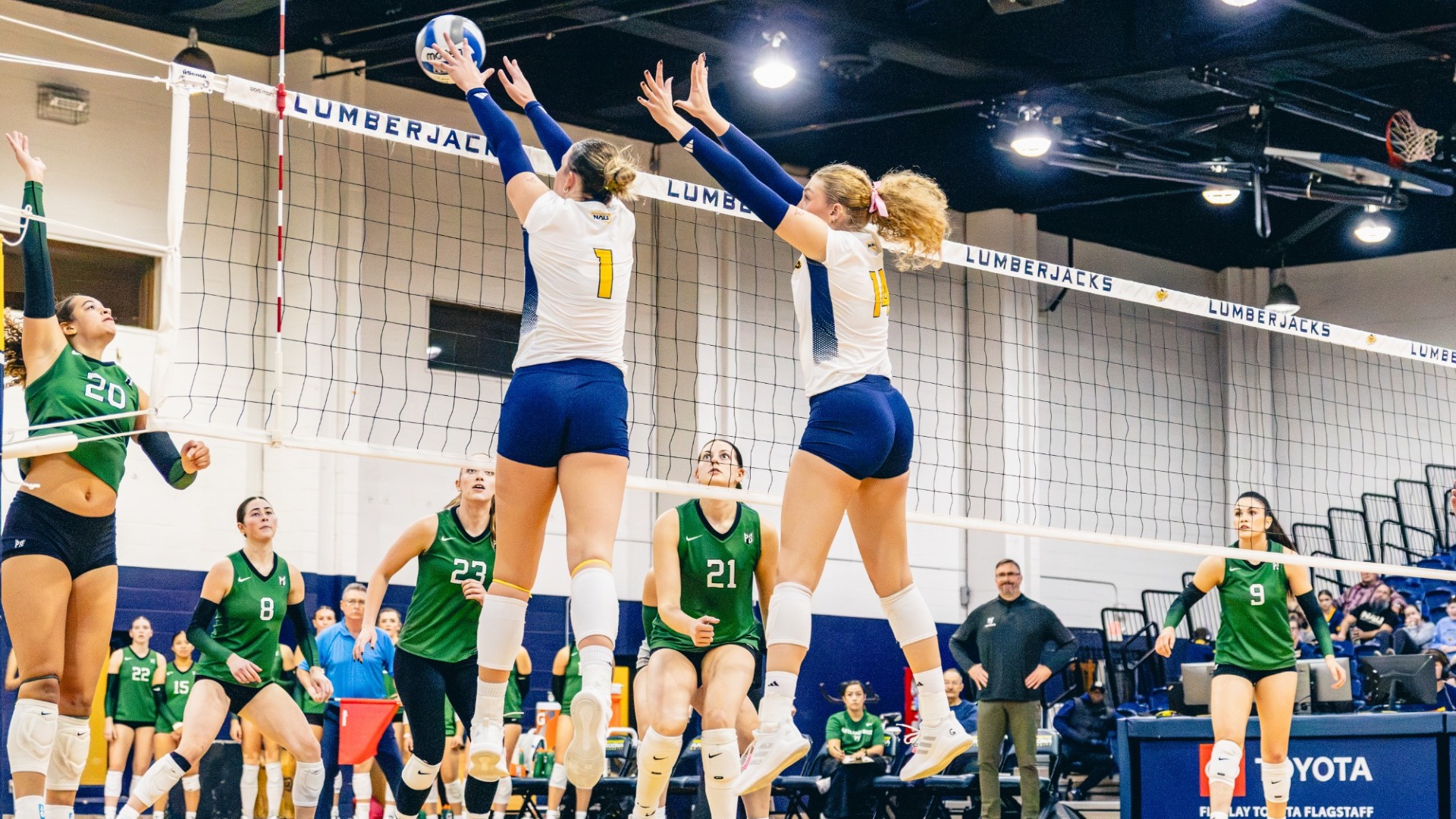 Volleyball