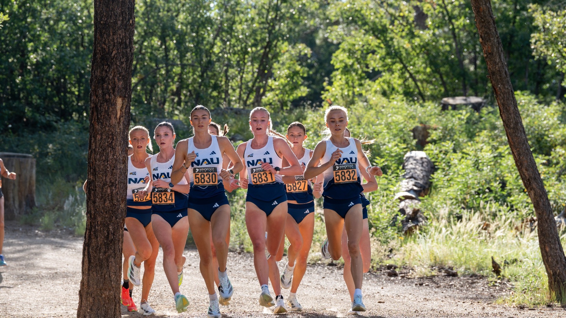 Cross country george kyte action