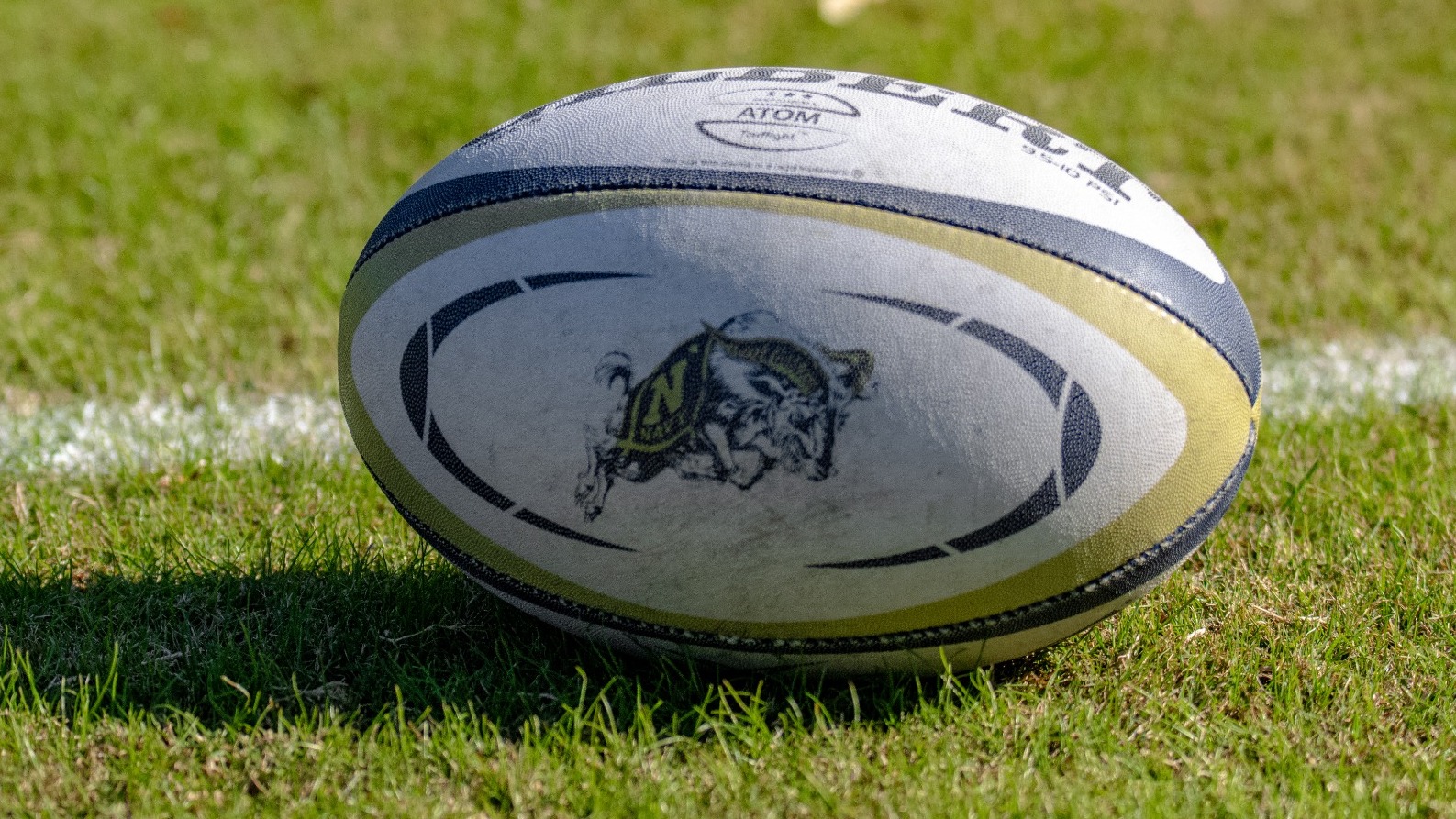 Rugby Ball