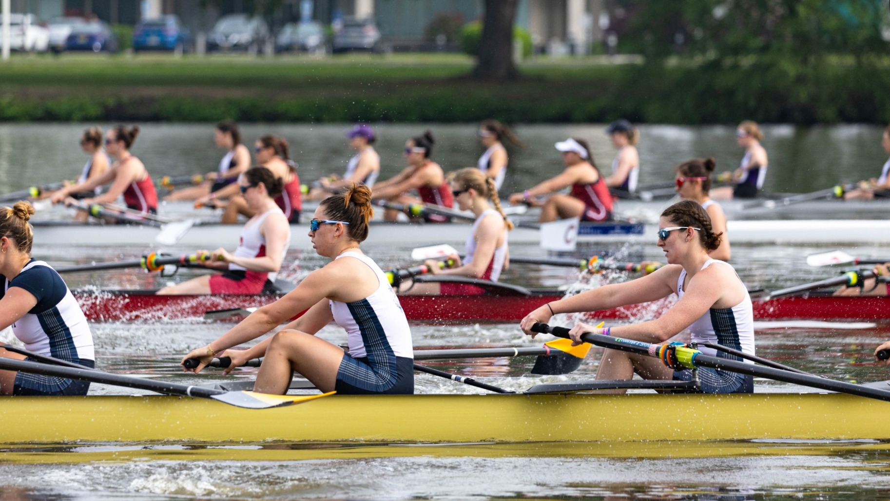 Sophia Mitchell, Eleanor Snyder