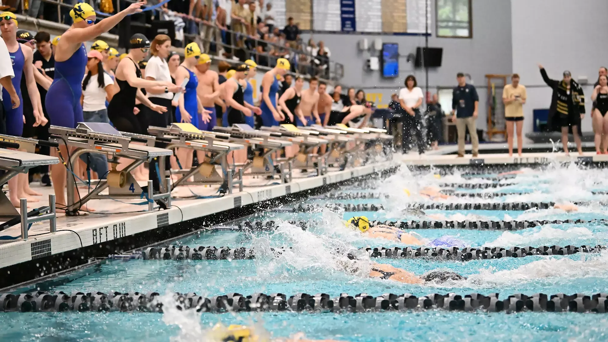 women's swimming team start