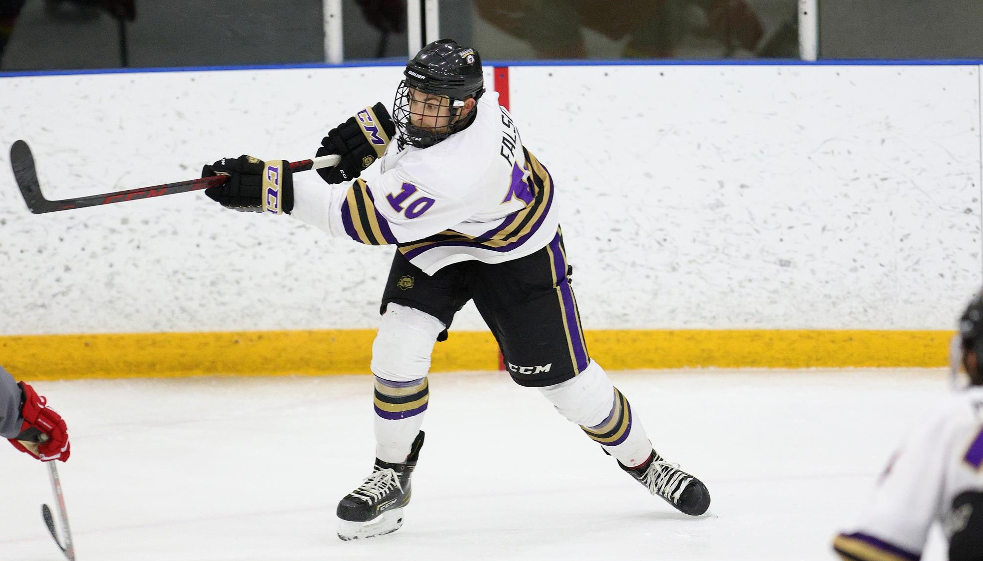 Ray Falso 202122 Men's Ice Hockey Nazareth University Athletics