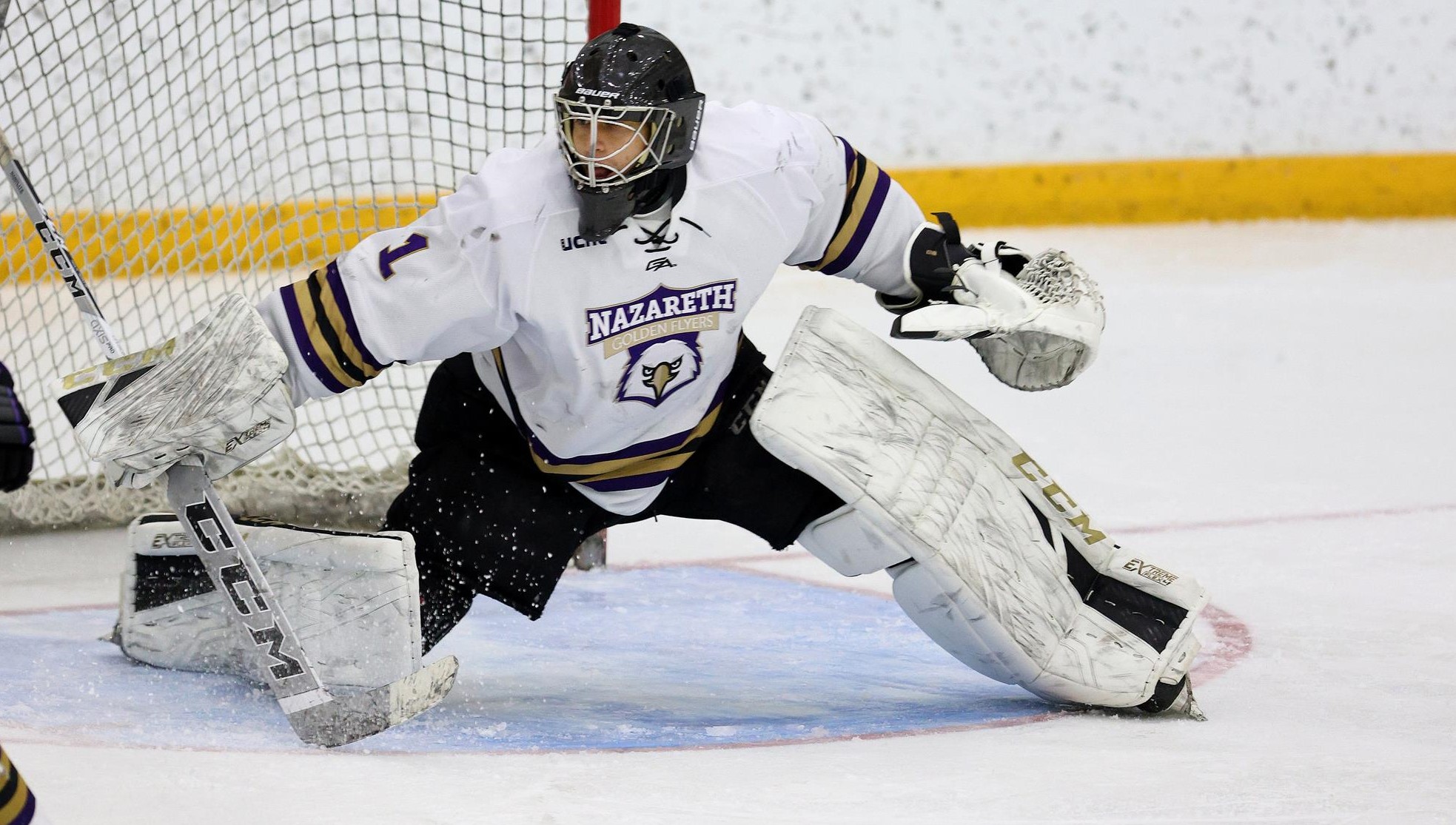 Gage Roberts 202223 Men's Ice Hockey Nazareth University Athletics