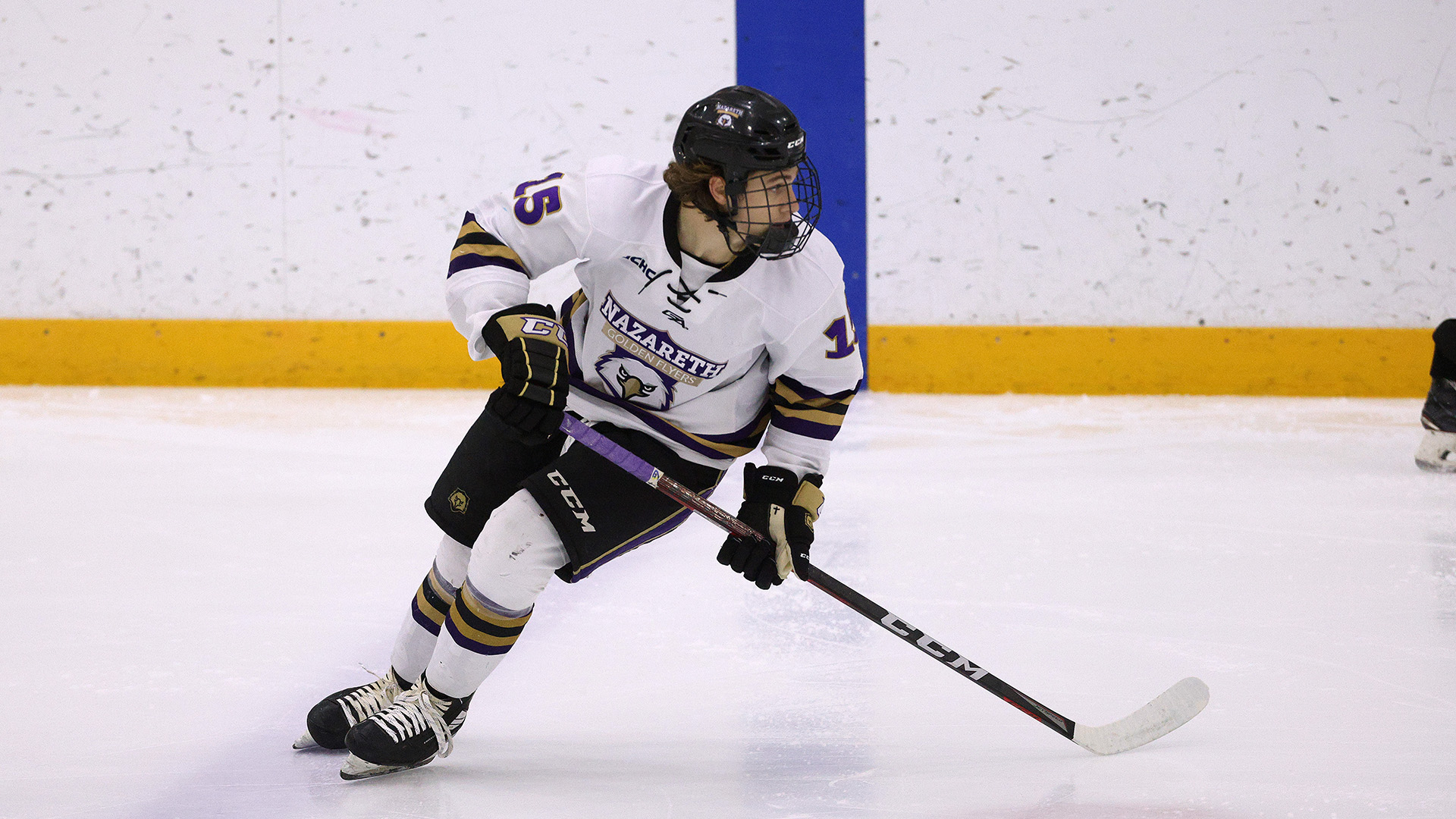 Ryan Turse 202223 Men's Ice Hockey Nazareth University Athletics