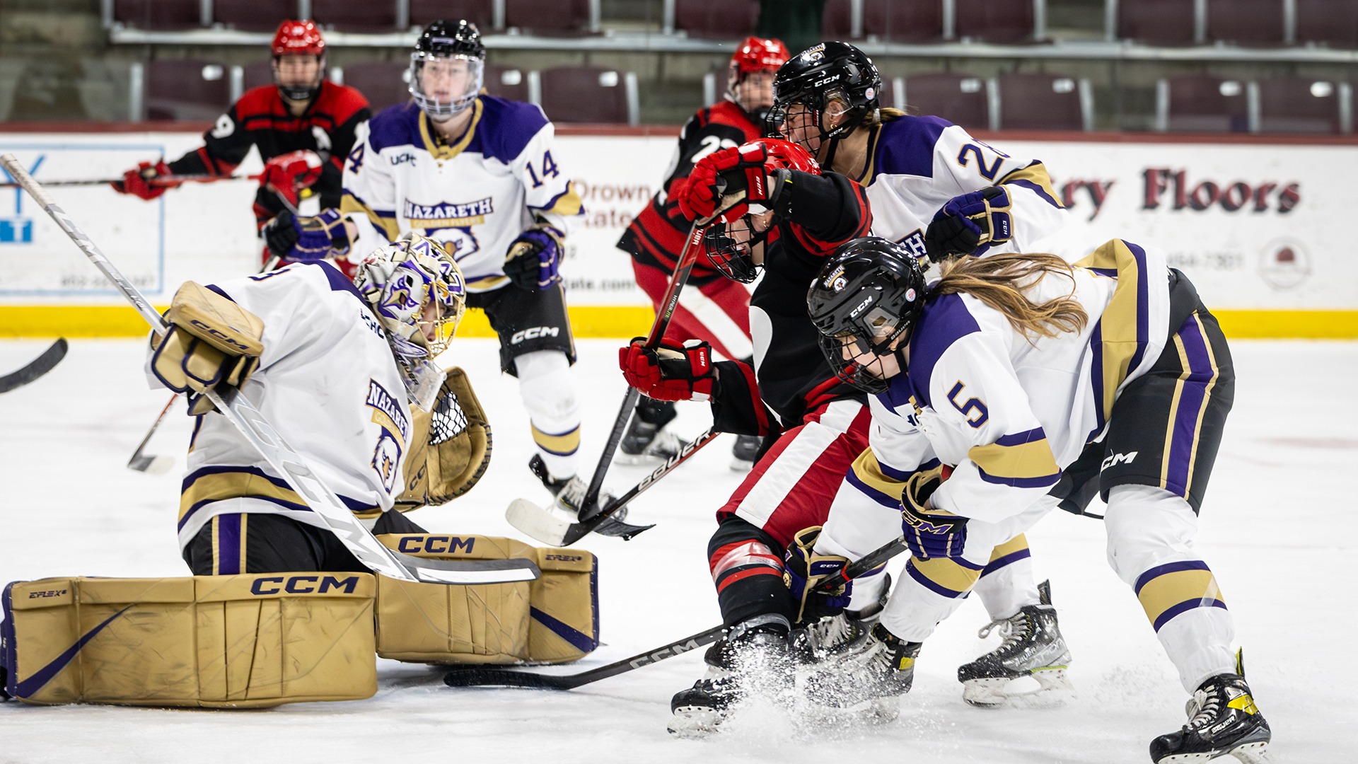 Alexis Jones 202324 Women's Ice Hockey Nazareth University Athletics