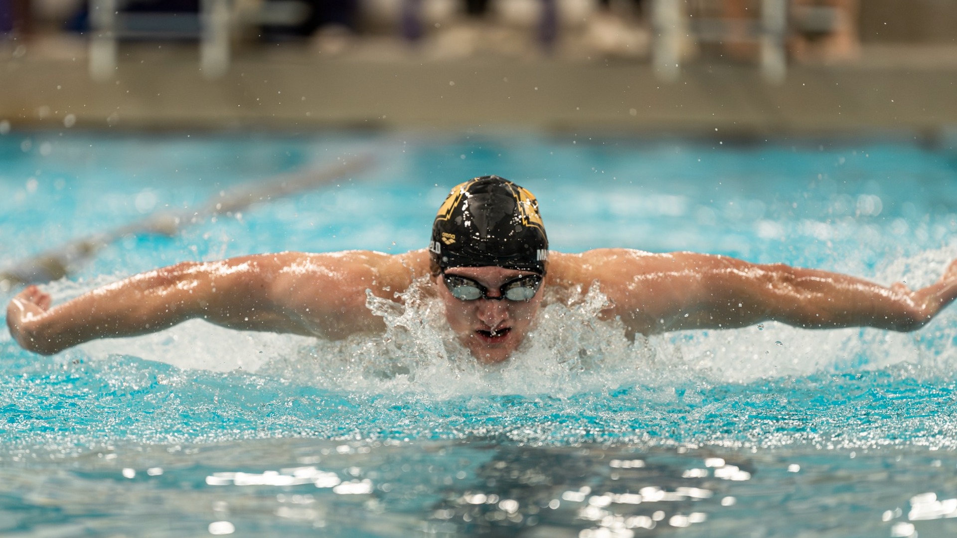 Men's Swimming and Diving
