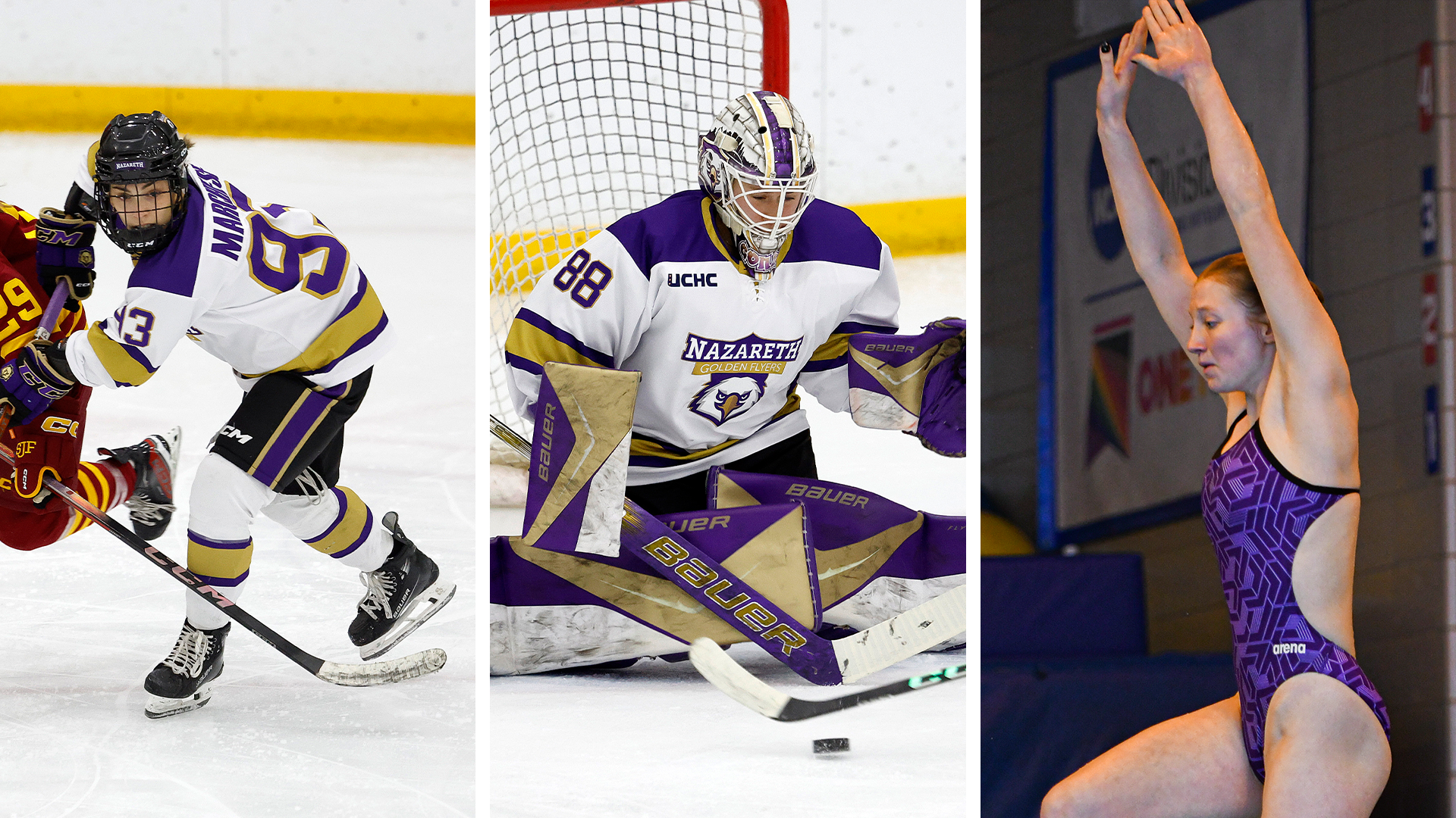 Marchese, Gonsalves and Kolakowski 