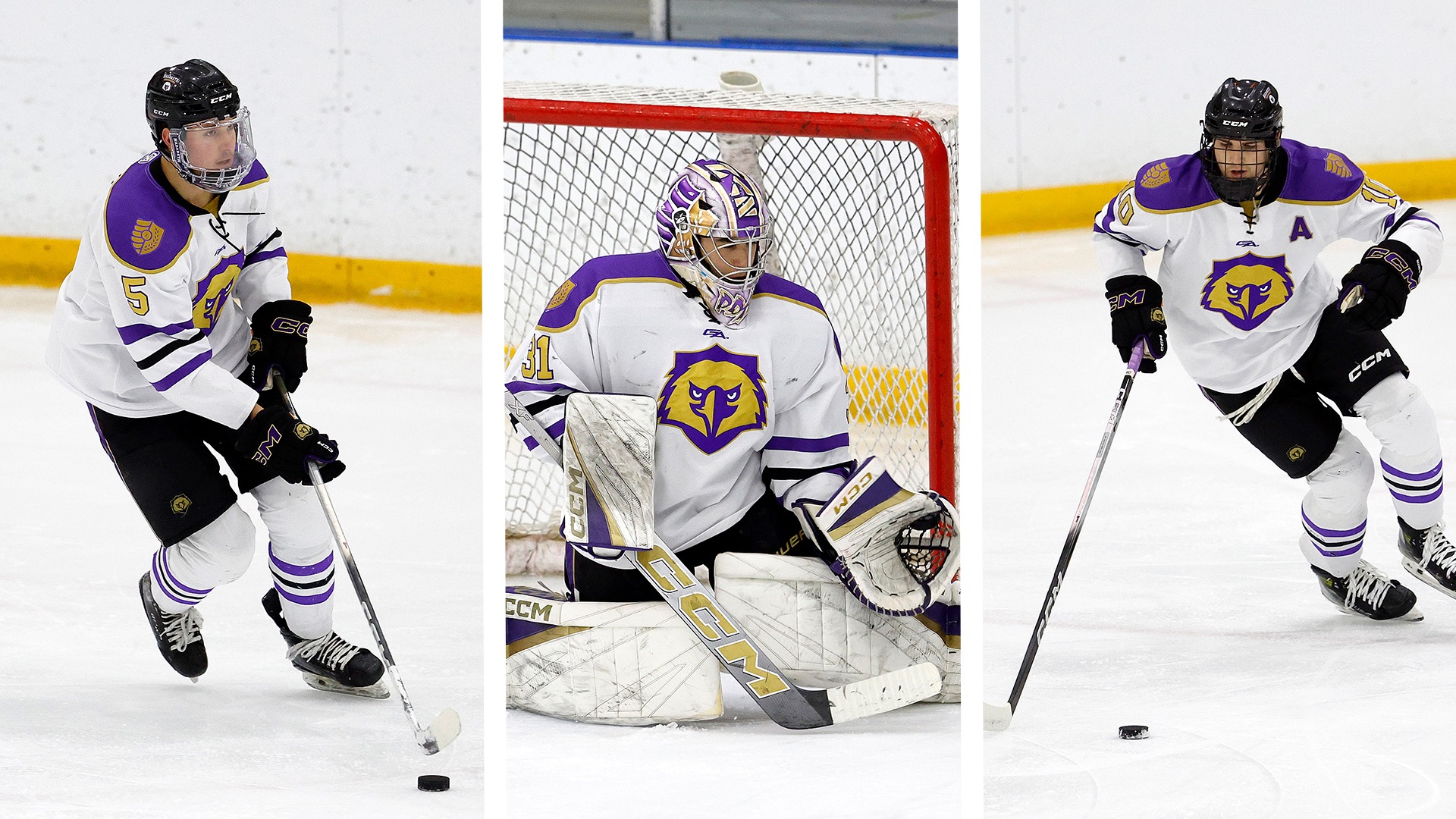 2026 Men's Hockey All-Conference