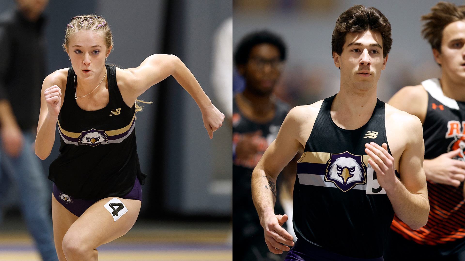 Legrow and McAllister